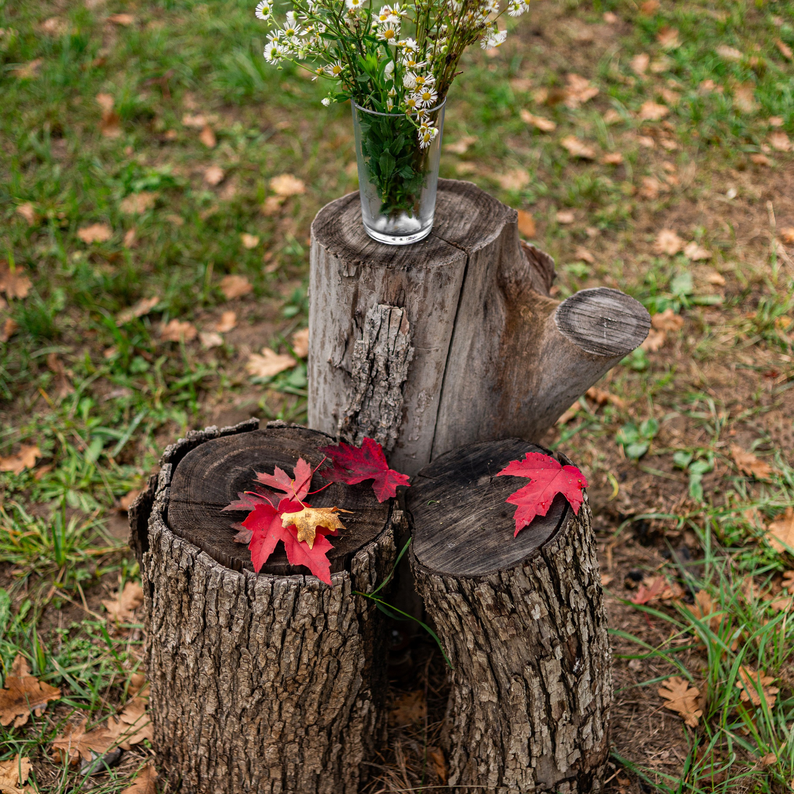 И дождь не страшен…. ФОТОГРАФ КРАСНОДАР КРАСНОДАРСКИЙ КРАЙ