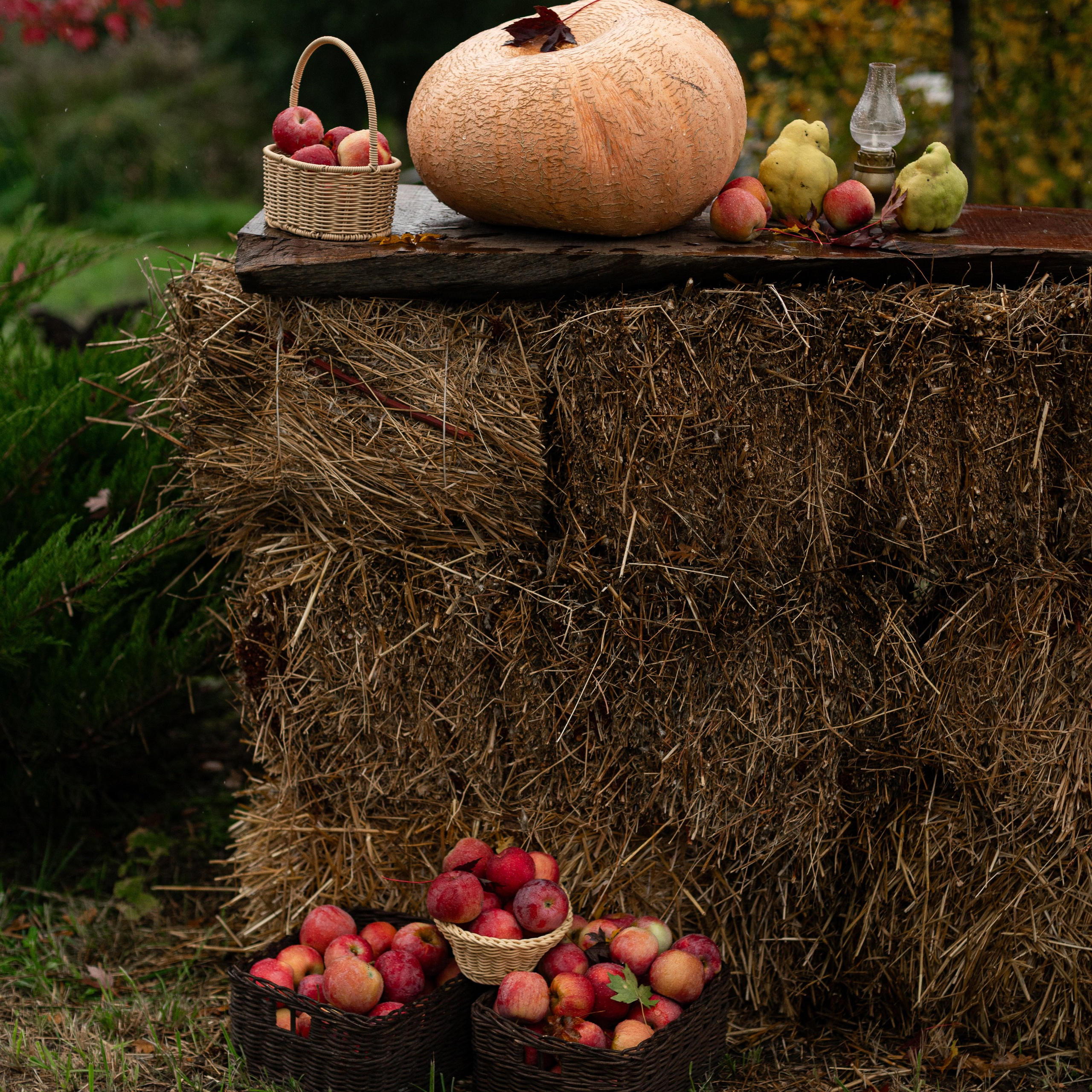 И дождь не страшен…. ФОТОГРАФ КРАСНОДАР КРАСНОДАРСКИЙ КРАЙ