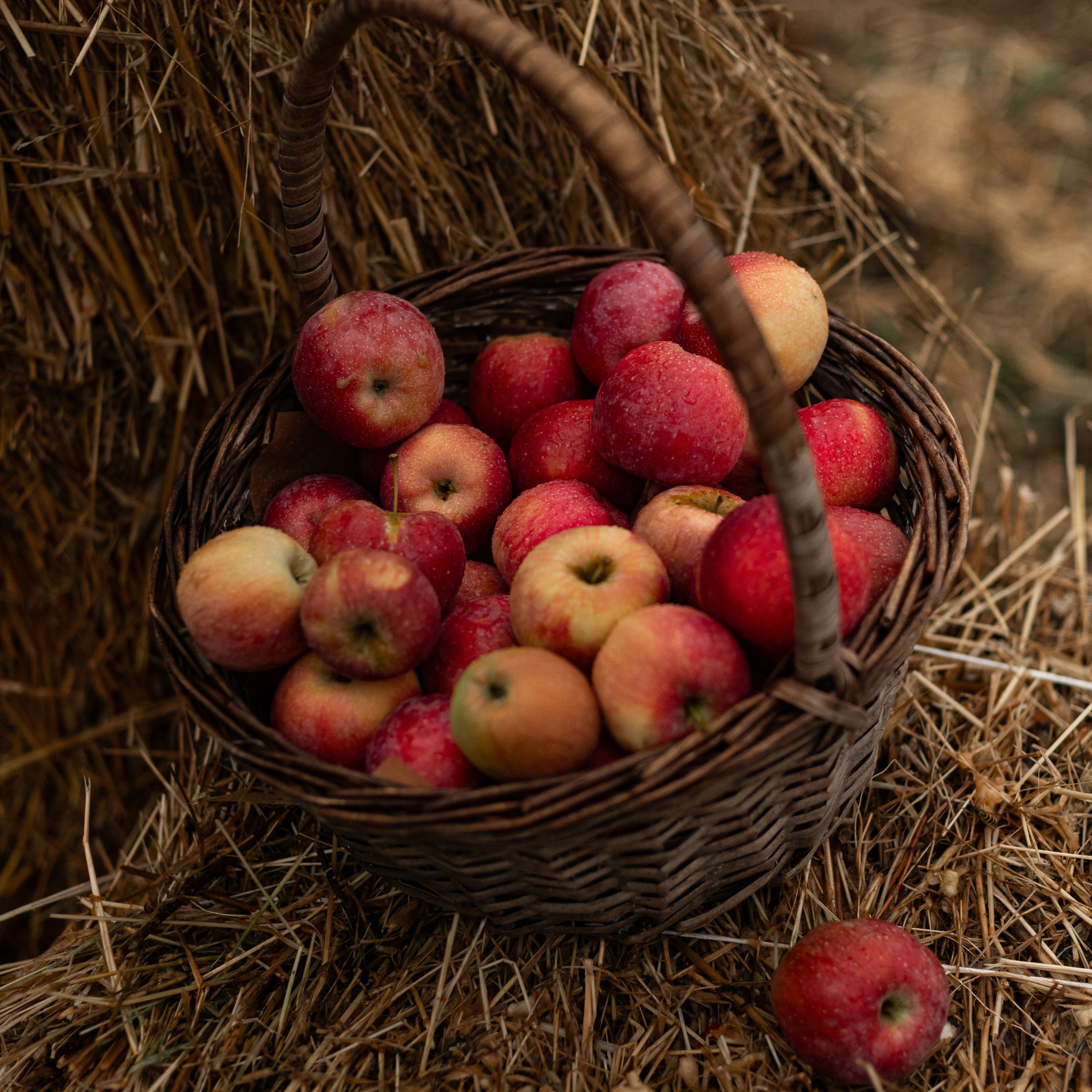 И дождь не страшен…. ФОТОГРАФ КРАСНОДАР КРАСНОДАРСКИЙ КРАЙ