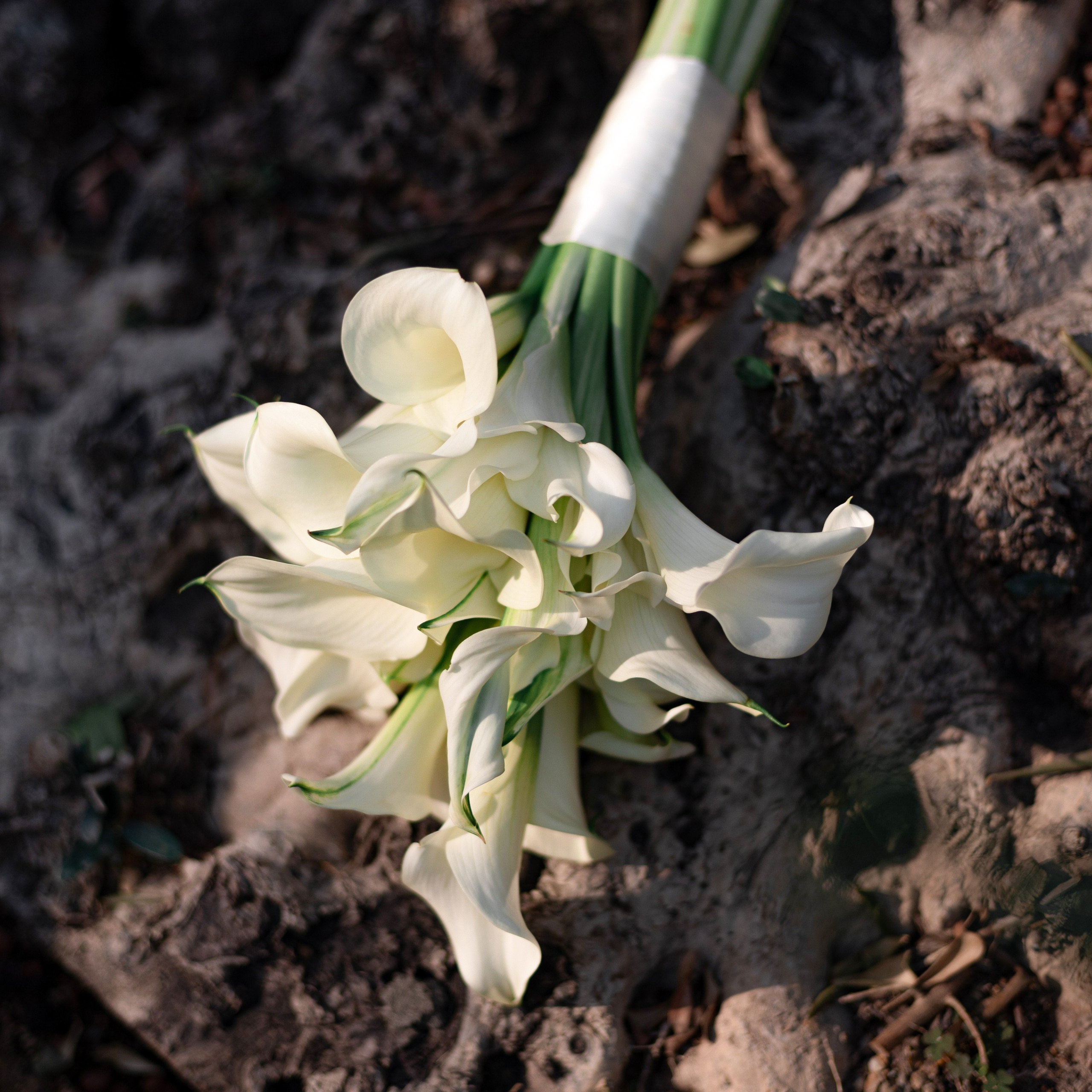 Осознанные. ФОТОГРАФ КРАСНОДАР КРАСНОДАРСКИЙ КРАЙ