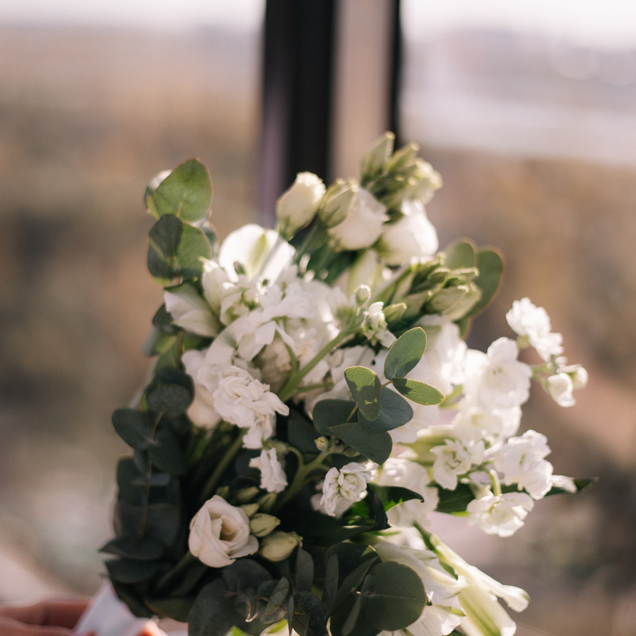 Александр&Ника | 25.09.2025. EGOROV PRODUCTION