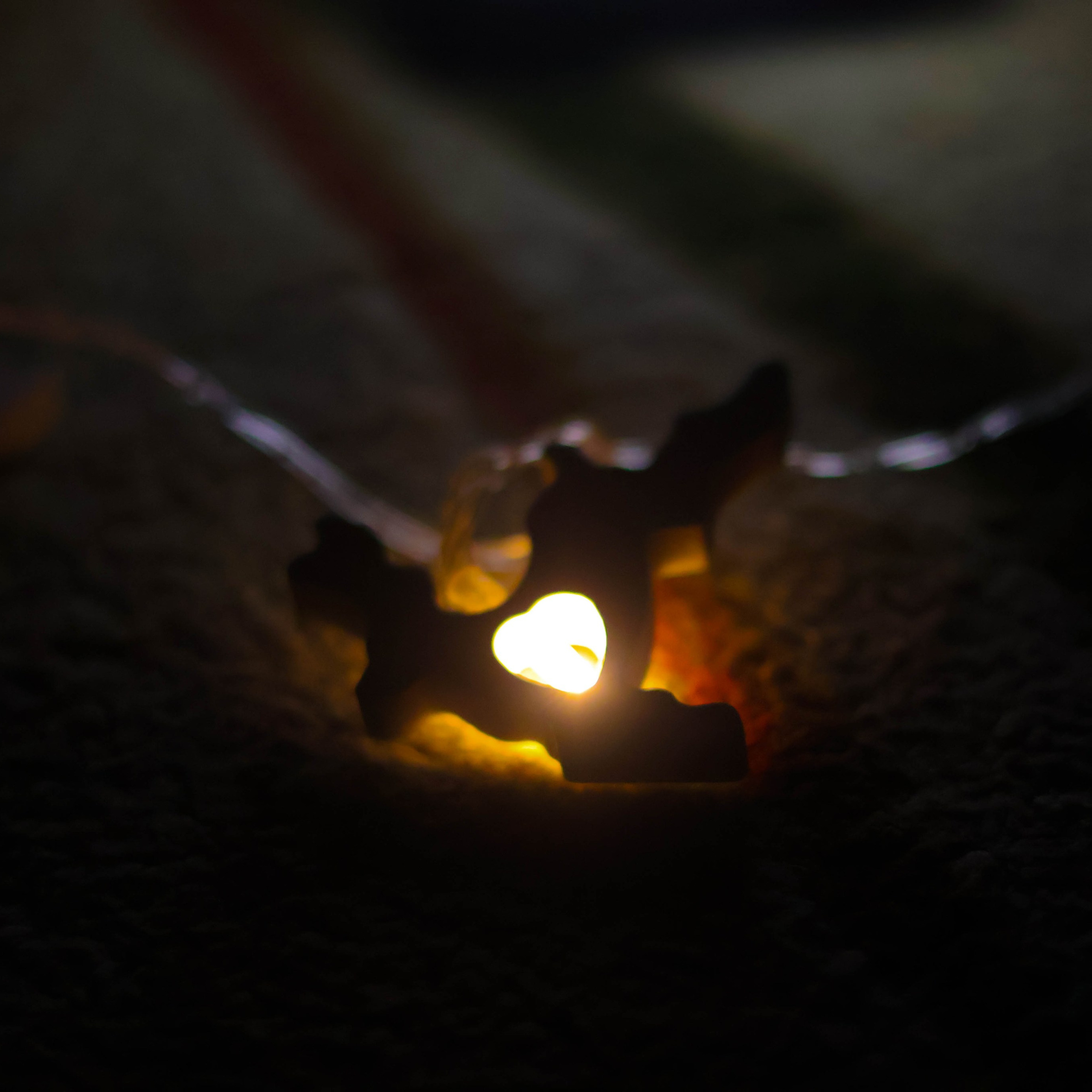 «Школа поликультурного общения». EGOROV PRODUCTION