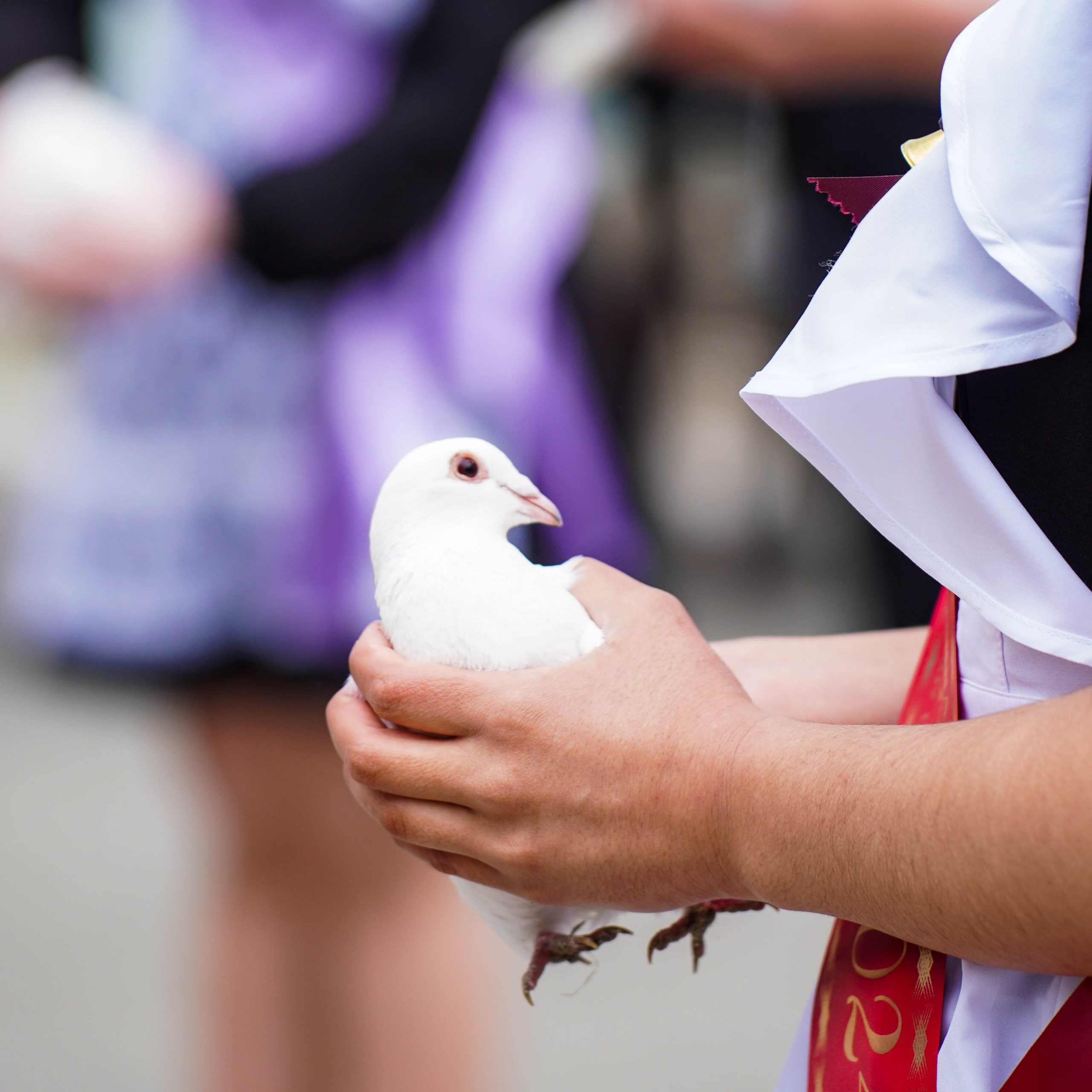 Последний звонок | 11-е классы. EGOROV PRODUCTION