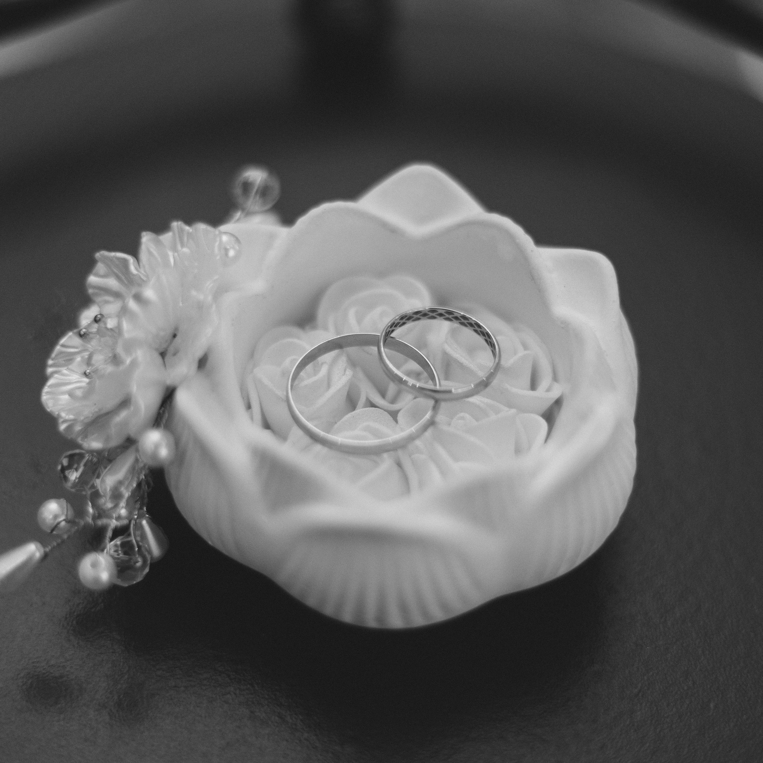 Дмитрий&Анжела | 17.10.2025. EGOROV PRODUCTION