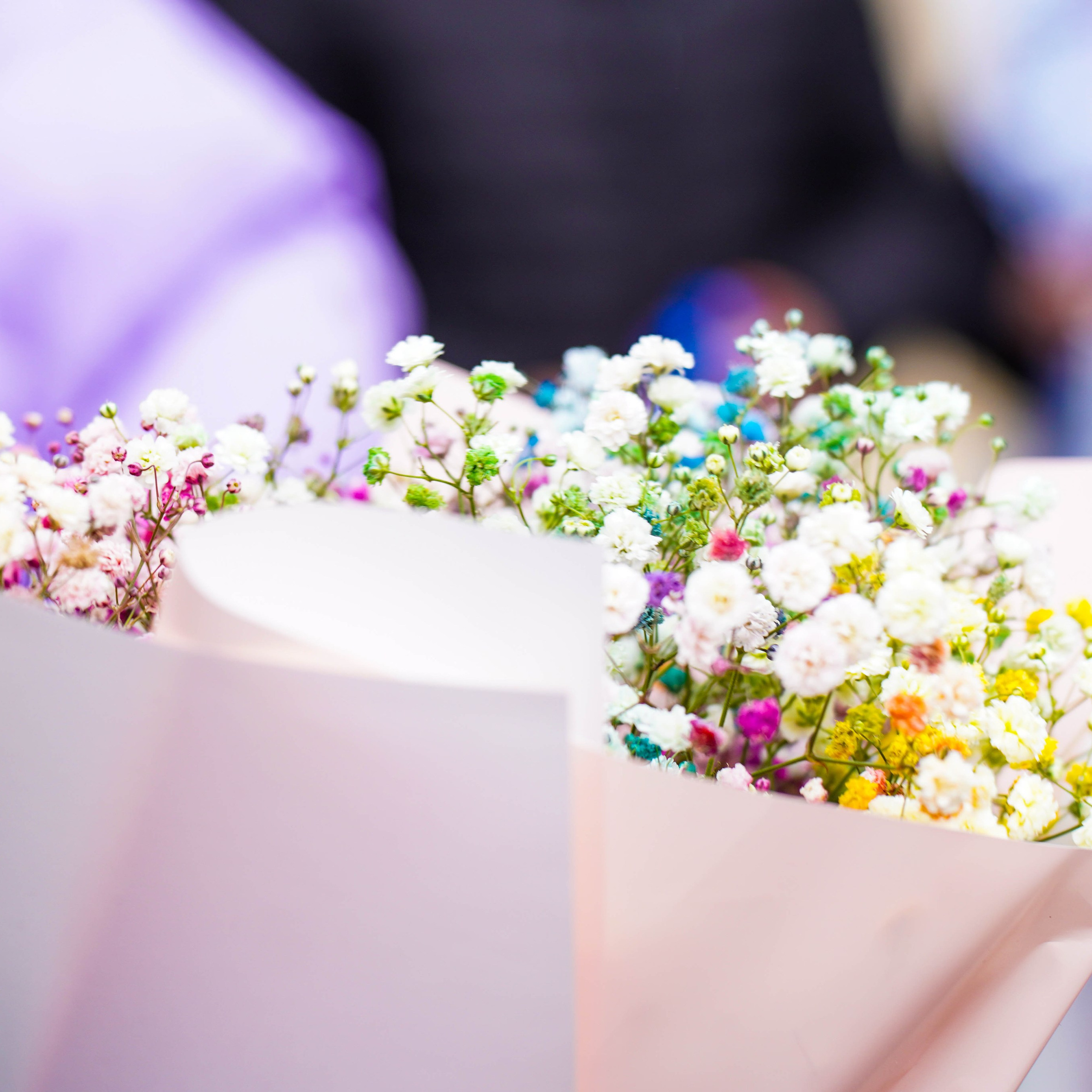 Последний звонок | 11-е классы. EGOROV PRODUCTION