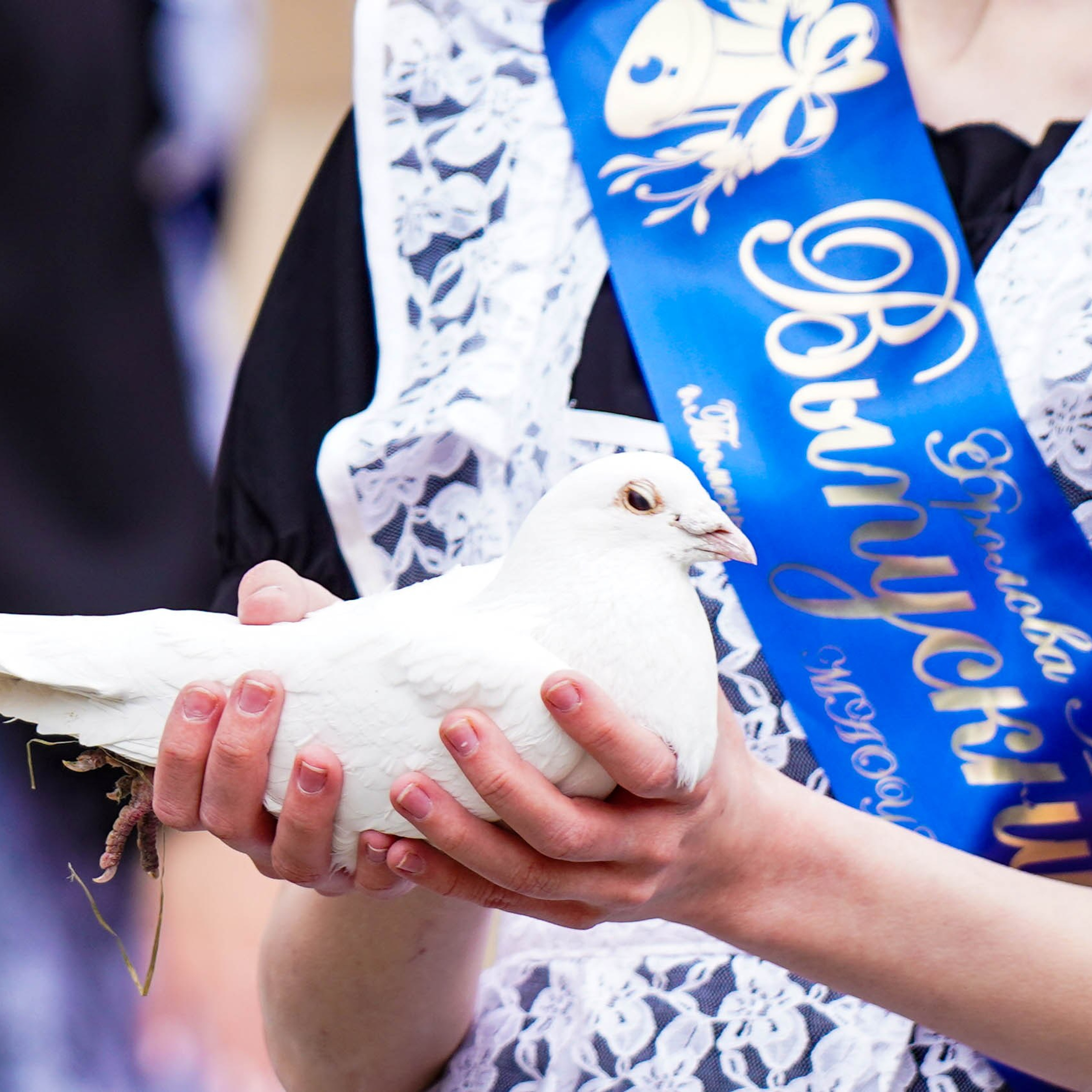 Последний звонок | 11-е классы. EGOROV PRODUCTION