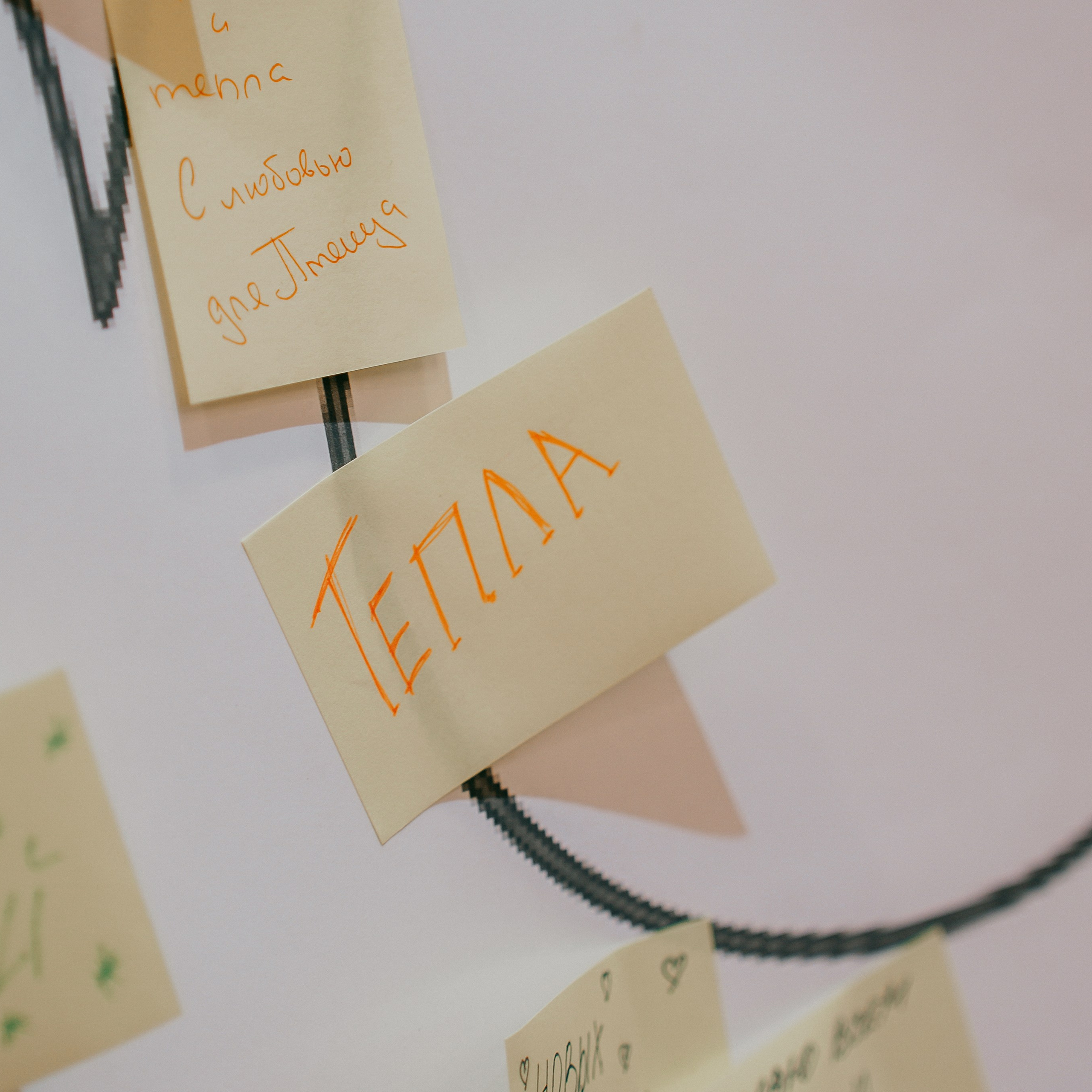 Фестиваль детских и юношеских радиопрограмм «Птенец-2025». EGOROV PRODUCTION