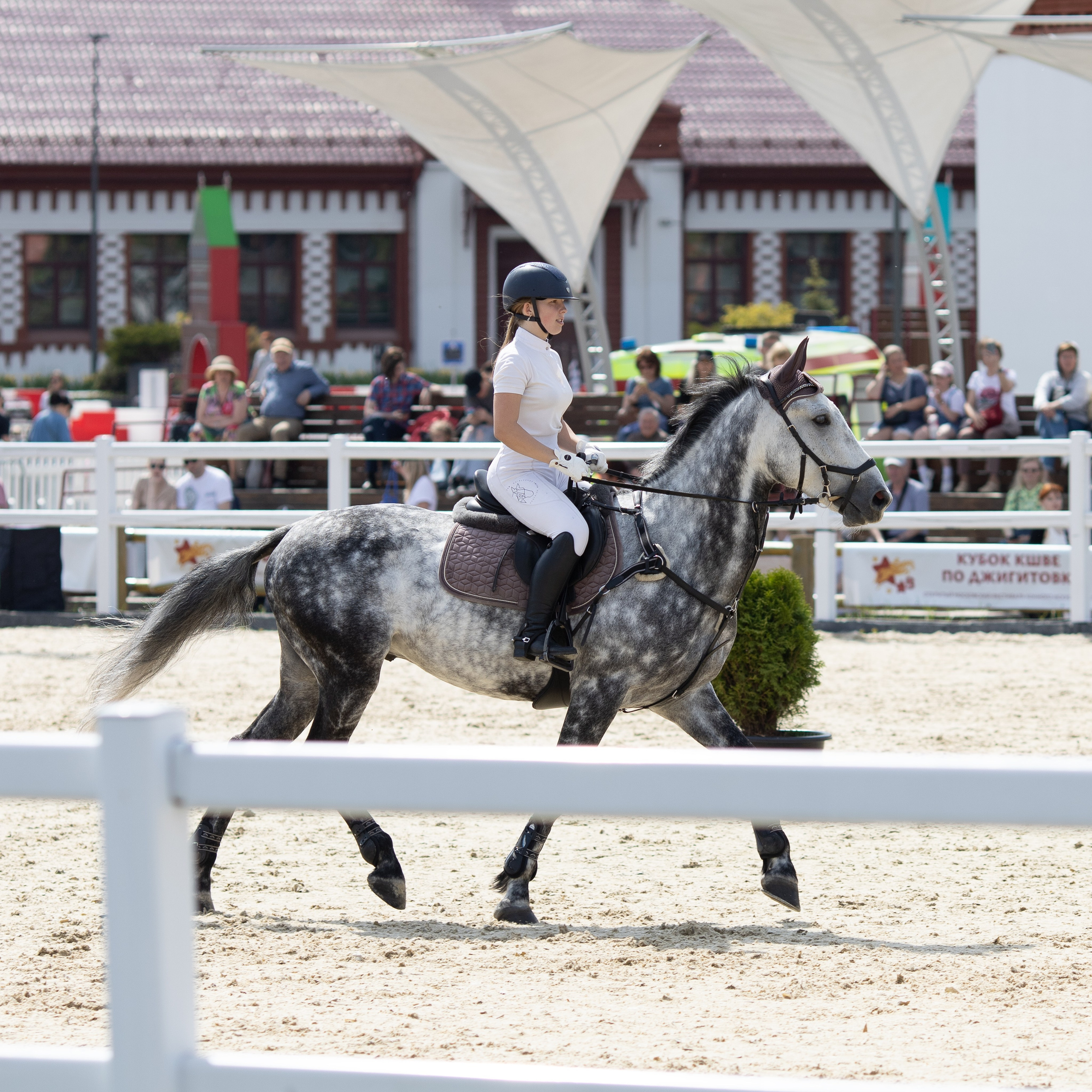 Фестиваль конного спорта. Москва. ВДНХ.  Конный павильон. Большой выводной круг