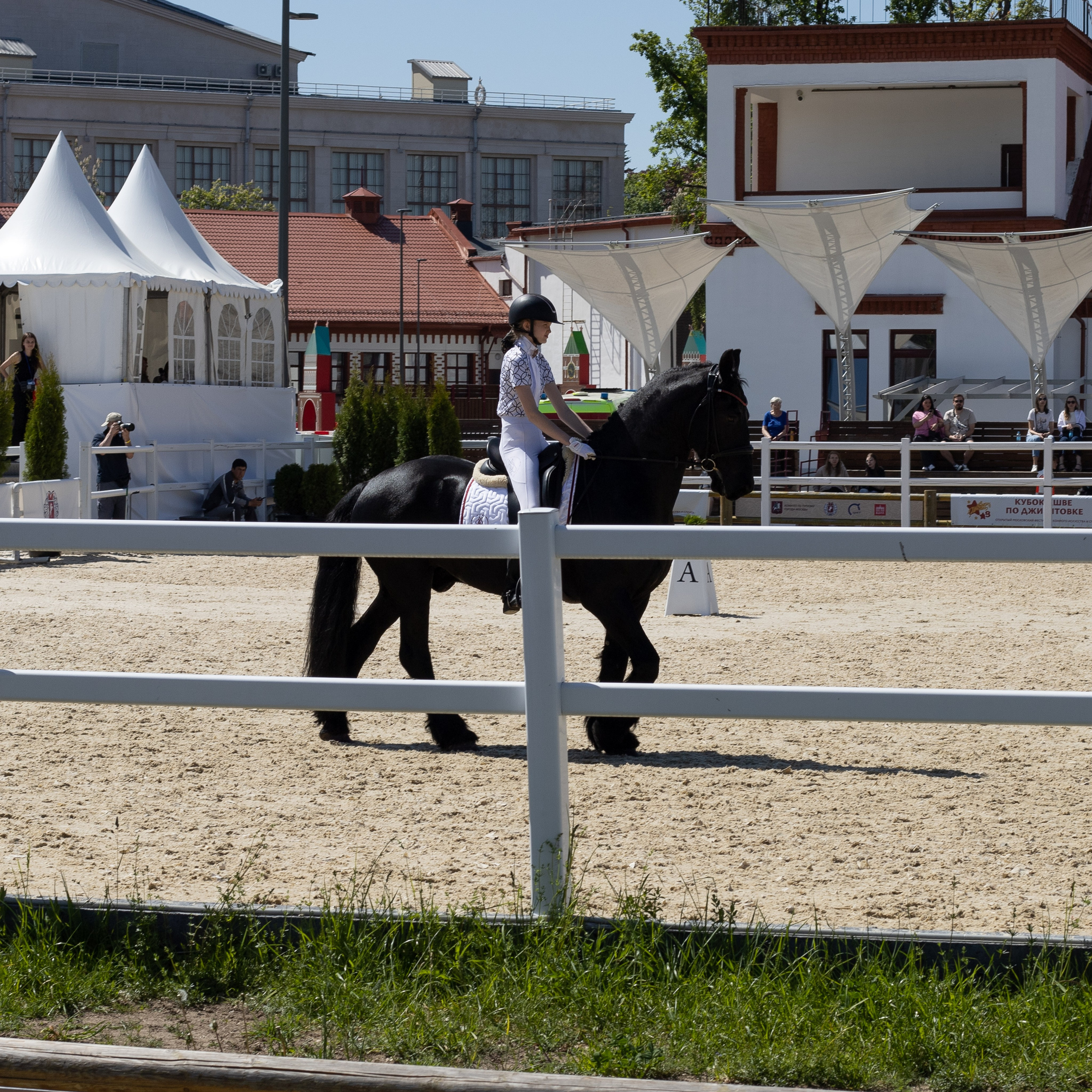 Фестиваль конного спорта. Москва. ВДНХ.  Конный павильон. Большой выводной круг