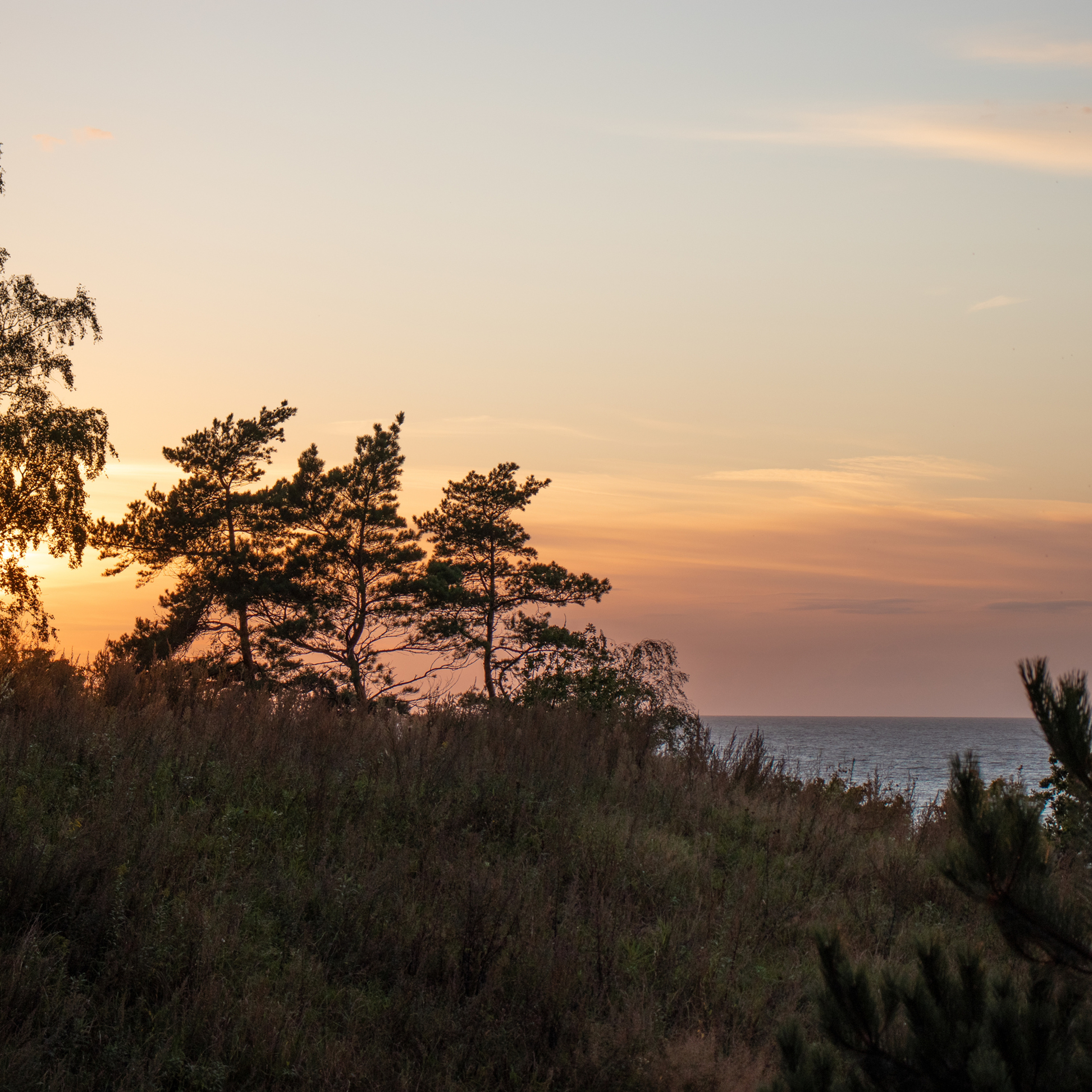 Светлогорск. Вид на мере с высокой дюны.