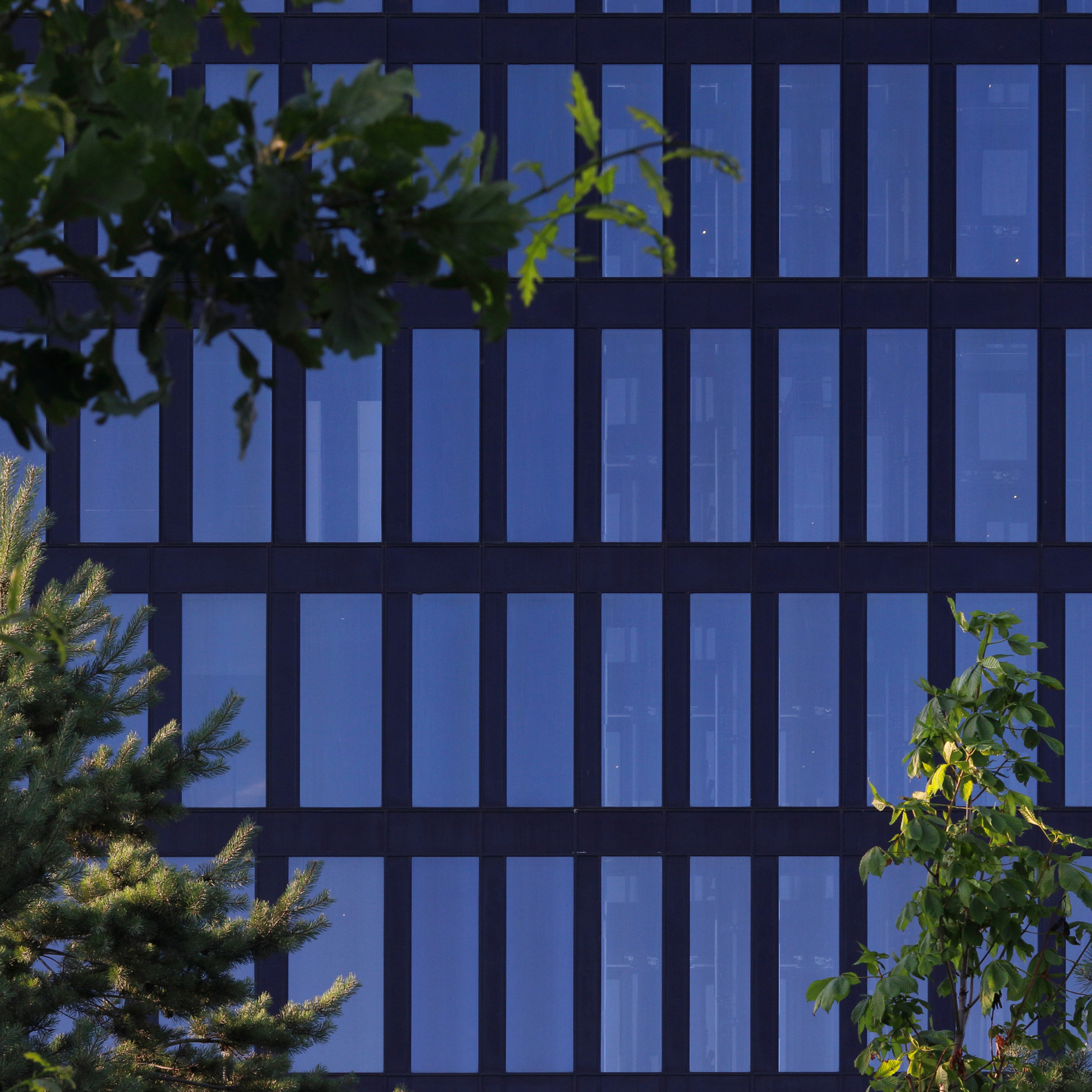 Окна здания Матрешки. Паттерны.