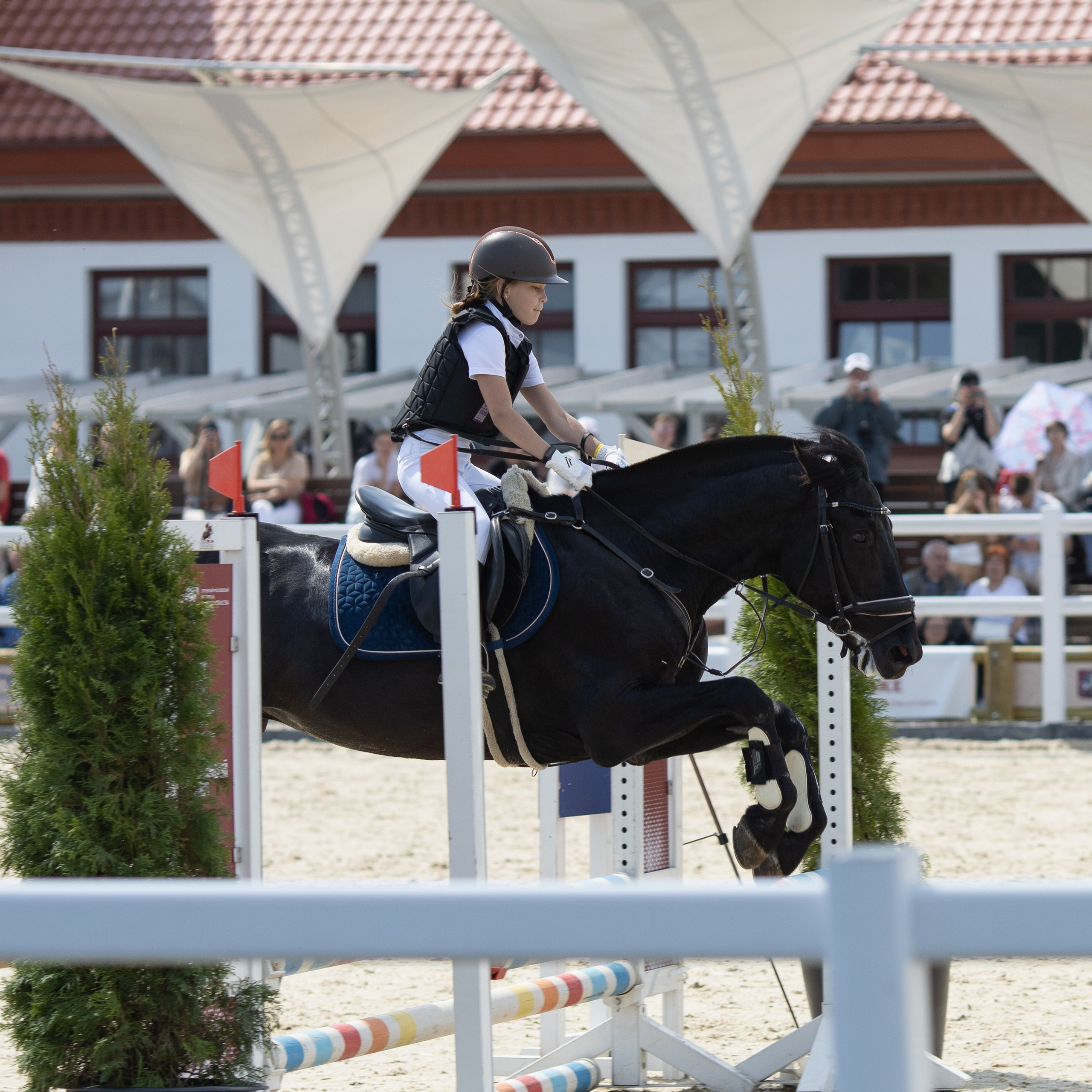 Фестиваль конного спорта. Москва. ВДНХ.  Конный павильон. Большой выводной круг