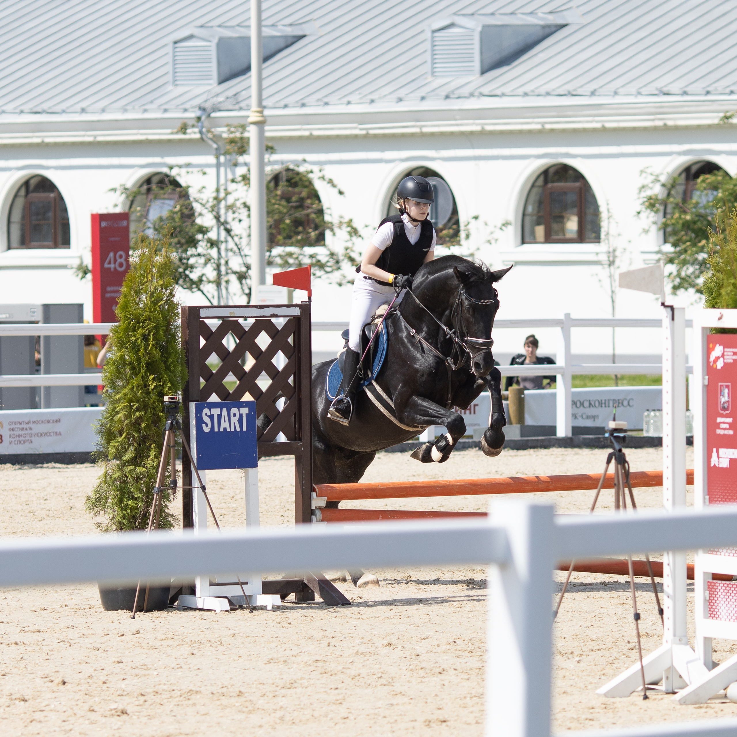 Фестиваль конного спорта. Москва. ВДНХ.  Конный павильон. Большой выводной круг