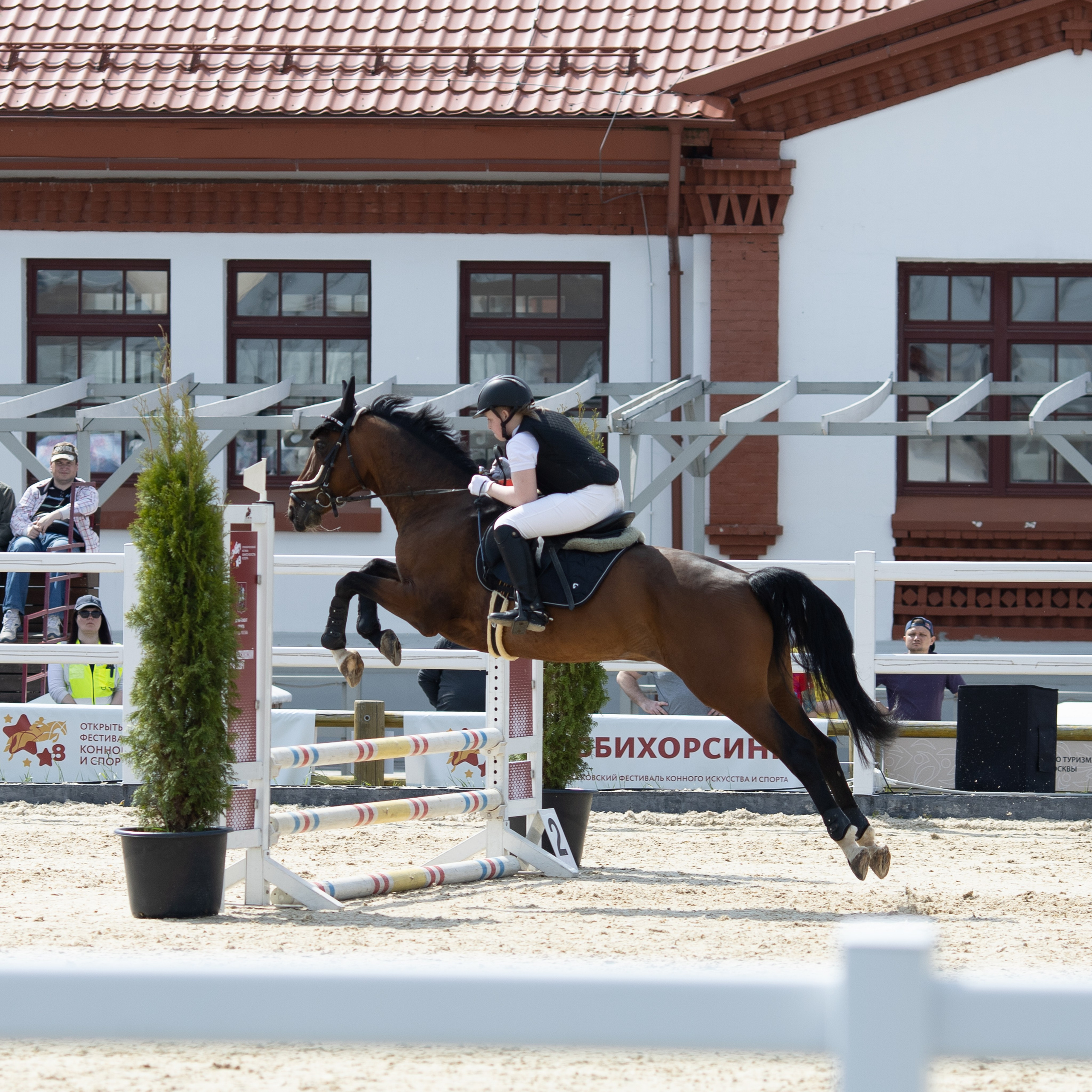 Фестиваль конного спорта. Москва. ВДНХ.  Конный павильон. Большой выводной круг