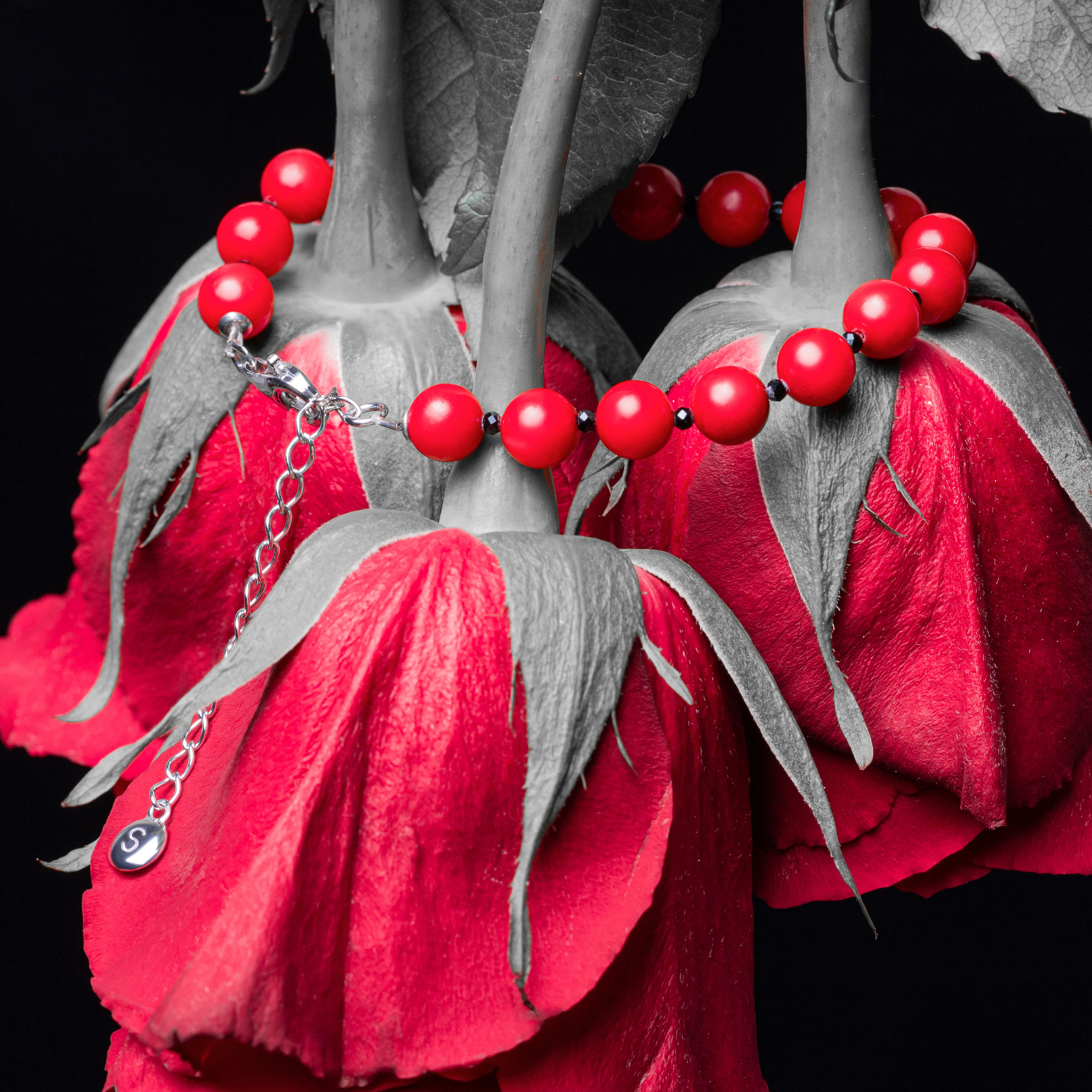 Крук вокруг - фотографии природы и животных. Фотограф в Москве Катарина Крук