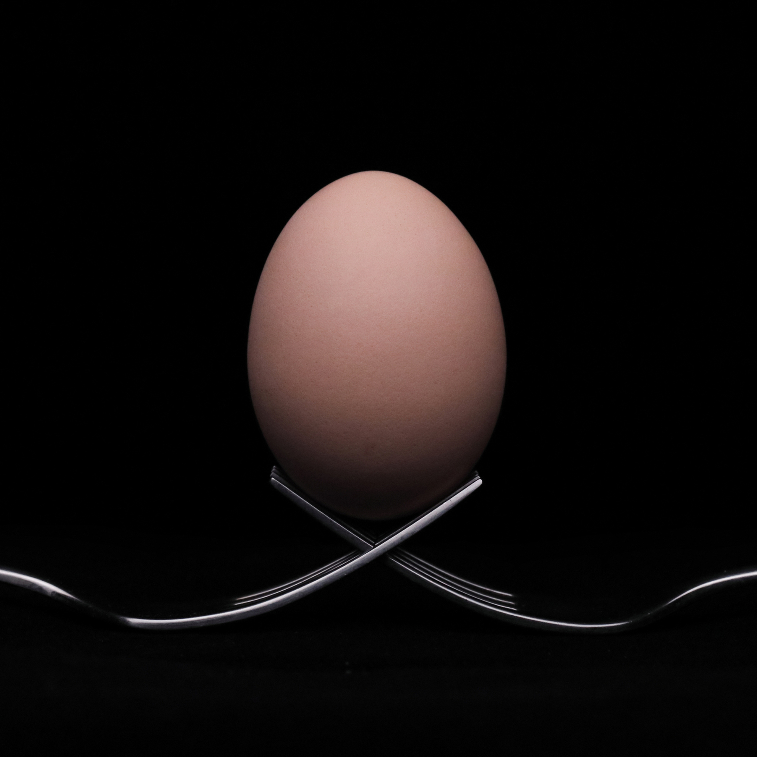 Яйцо на вилках.