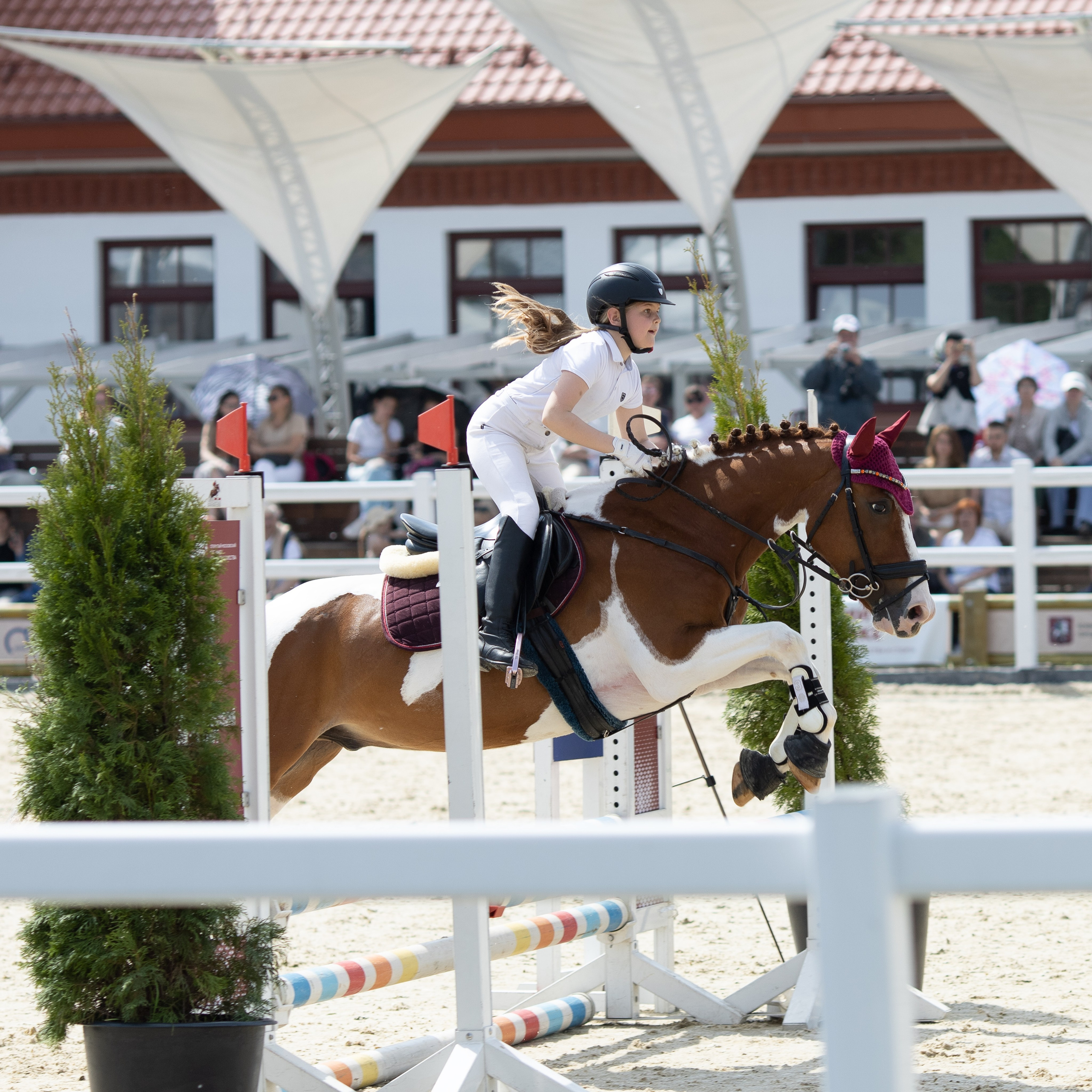 Фестиваль конного спорта. Москва. ВДНХ.  Конный павильон. Большой выводной круг
