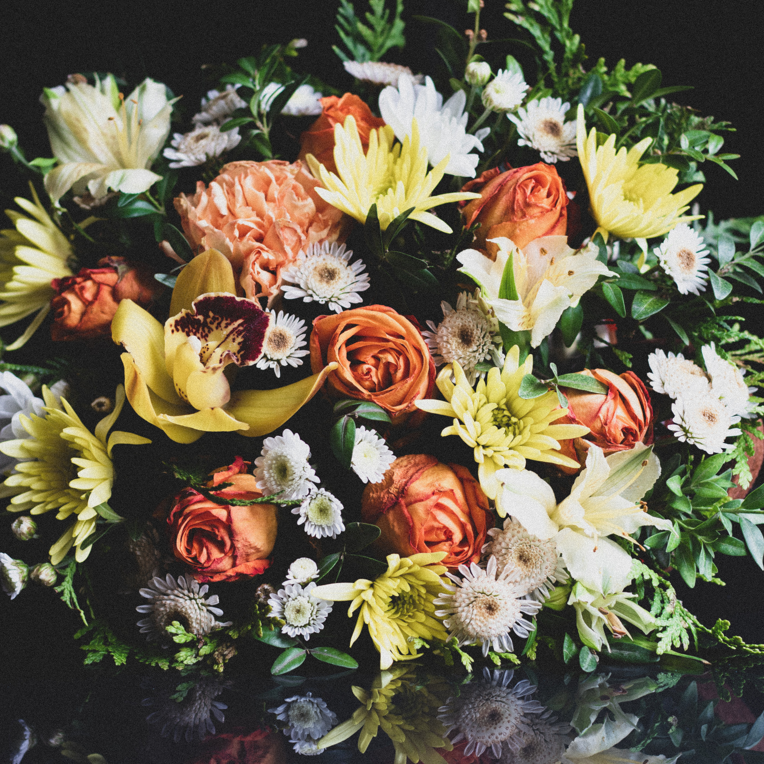 Отзывы о работах фотографа Катарине Крук. Фотограф в Москве Катарина Крук