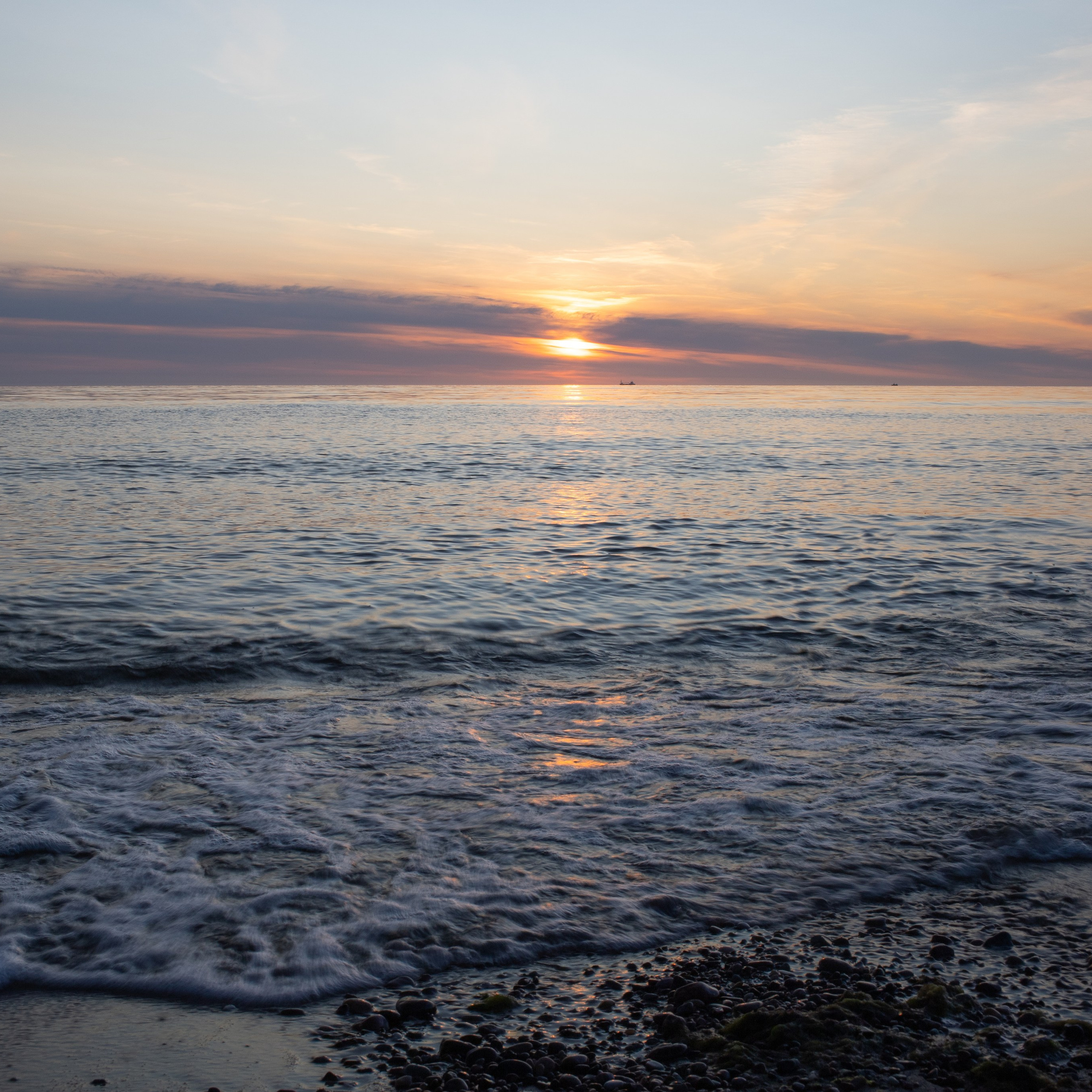 Крук вокруг - фотографии природы и животных. Фотограф в Москве Катарина Крук