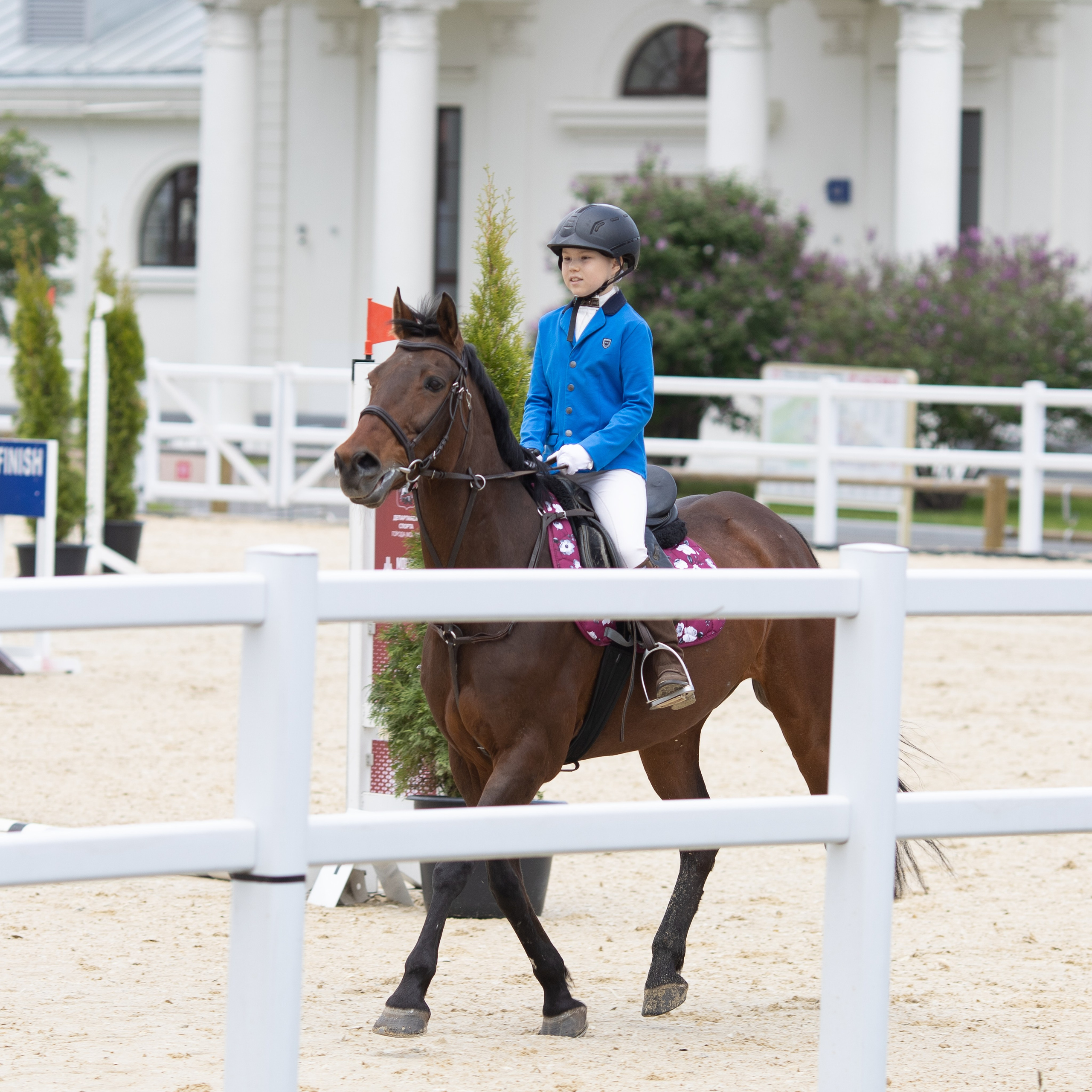 Фестиваль конного спорта. Москва. ВДНХ.  Конный павильон. Большой выводной круг
