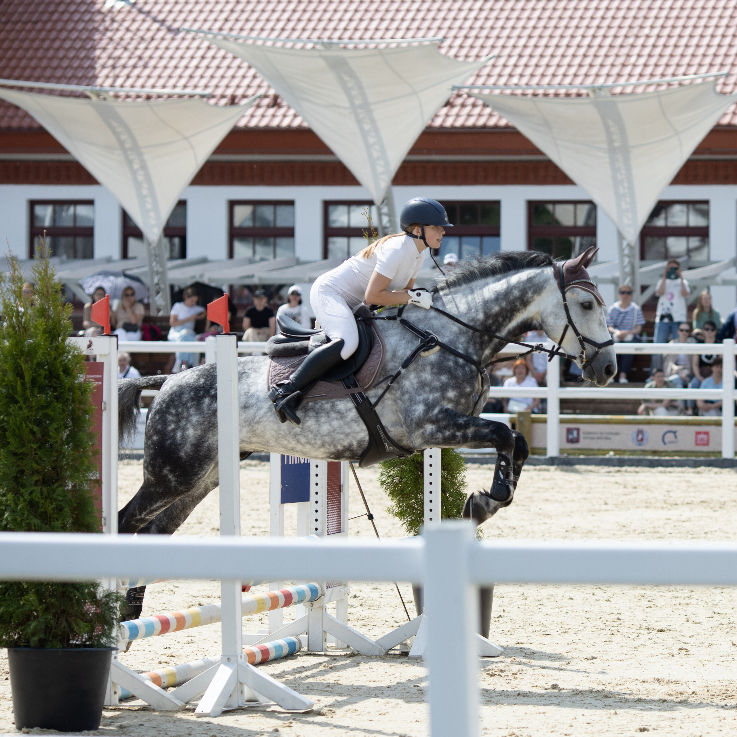 Фестиваль конного спорта. Москва. ВДНХ.  Конный павильон. Большой выводной круг