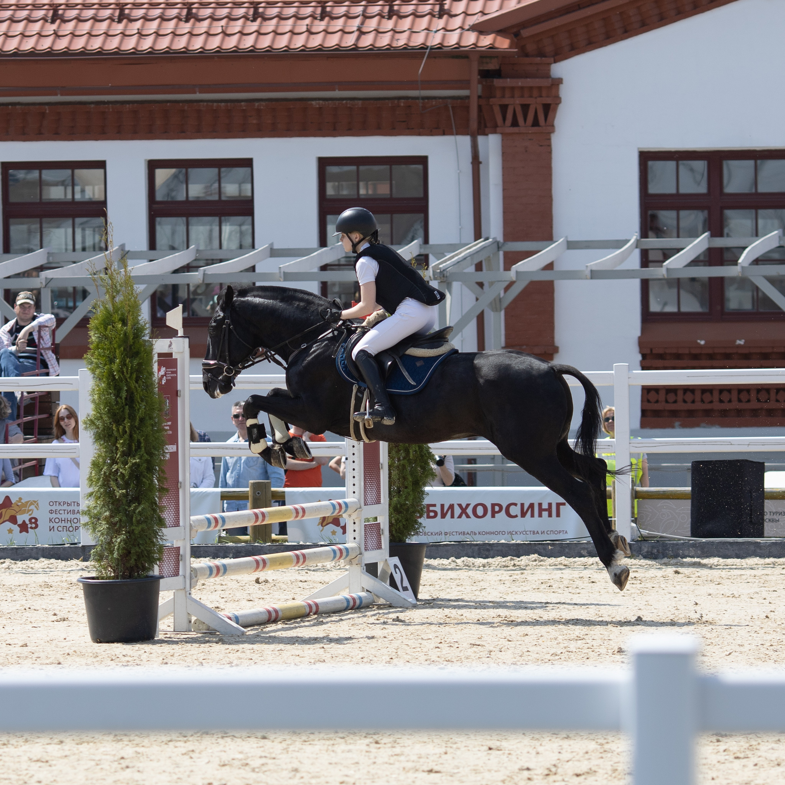 Фестиваль конного спорта. Москва. ВДНХ.  Конный павильон. Большой выводной круг