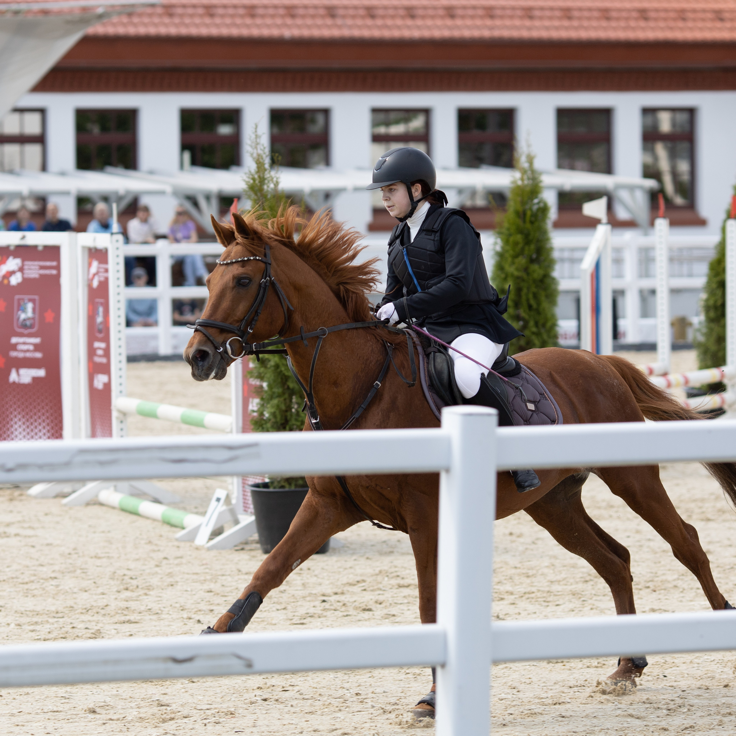 Фестиваль конного спорта. Москва. ВДНХ.  Конный павильон. Большой выводной круг