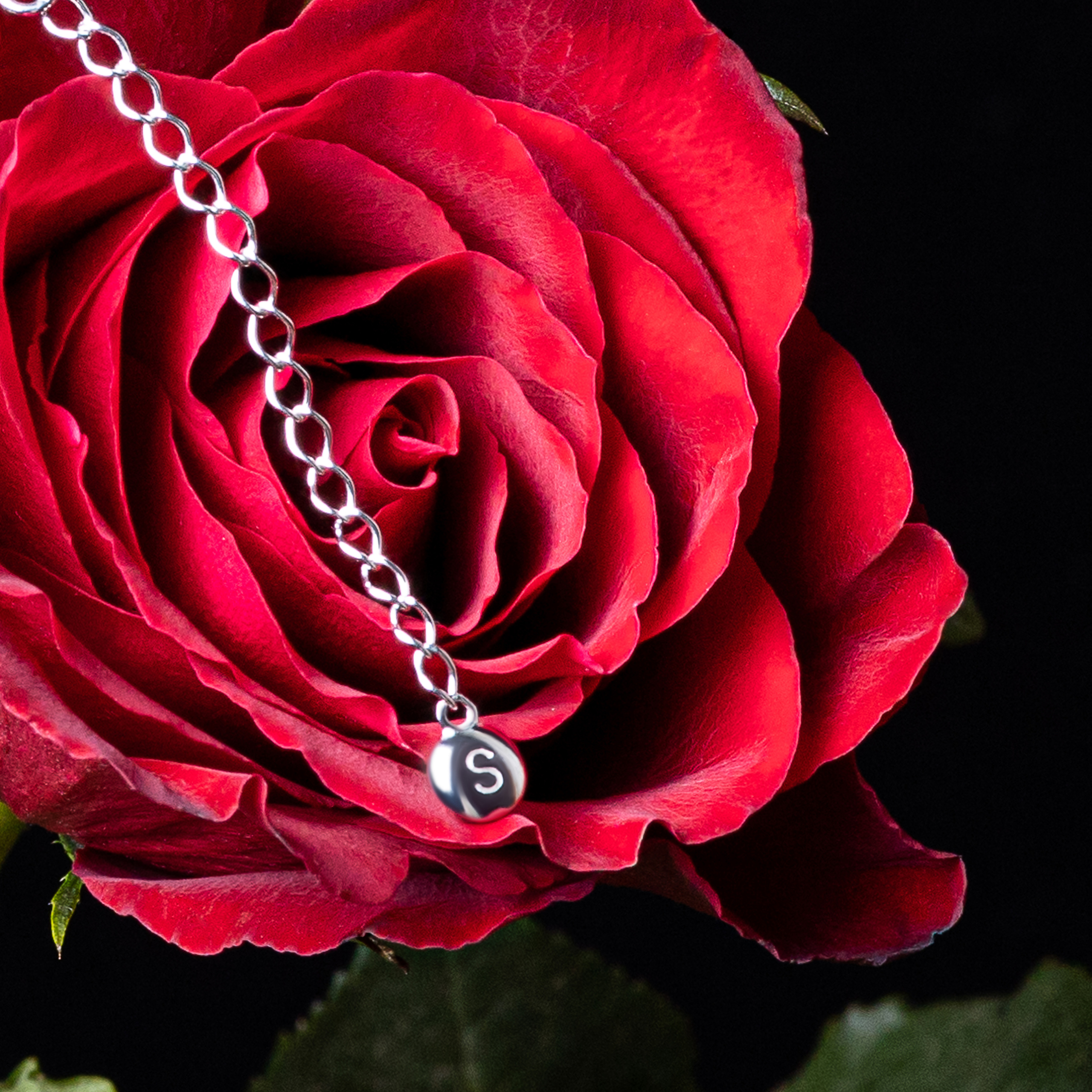 Крук вокруг - фотографии природы и животных. Фотограф в Москве Катарина Крук