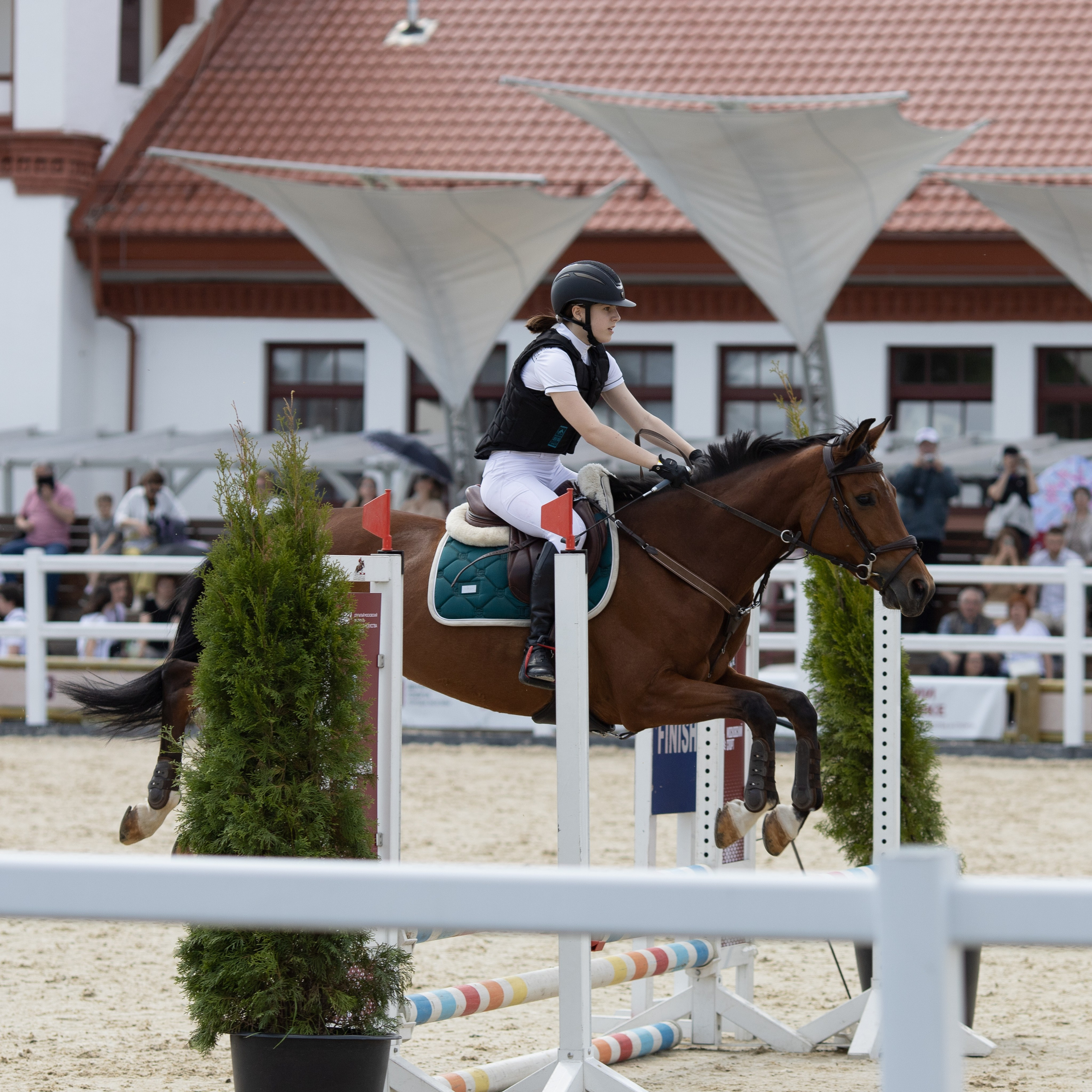 Фестиваль конного спорта. Москва. ВДНХ.  Конный павильон. Большой выводной круг
