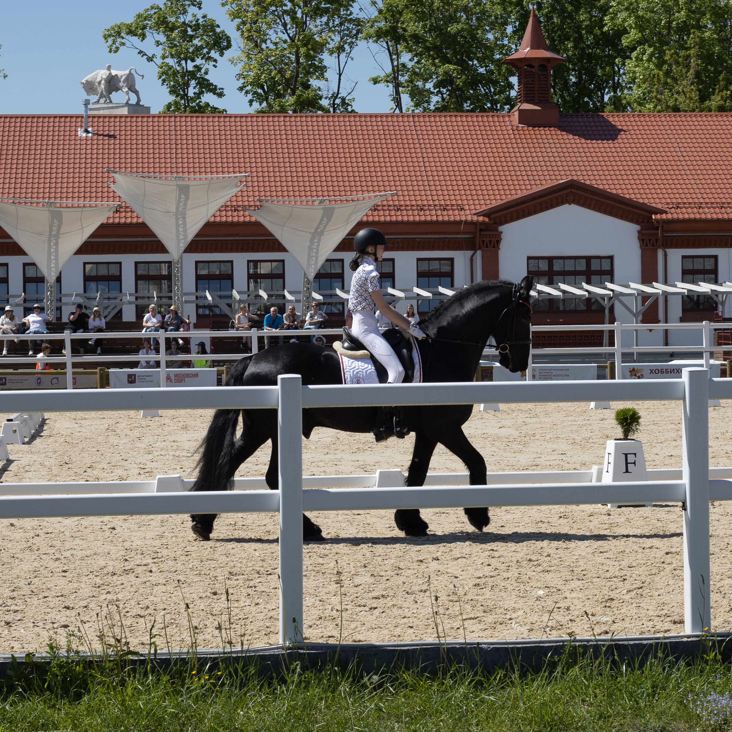 Фестиваль конного спорта. Москва. ВДНХ.  Конный павильон. Большой выводной круг
