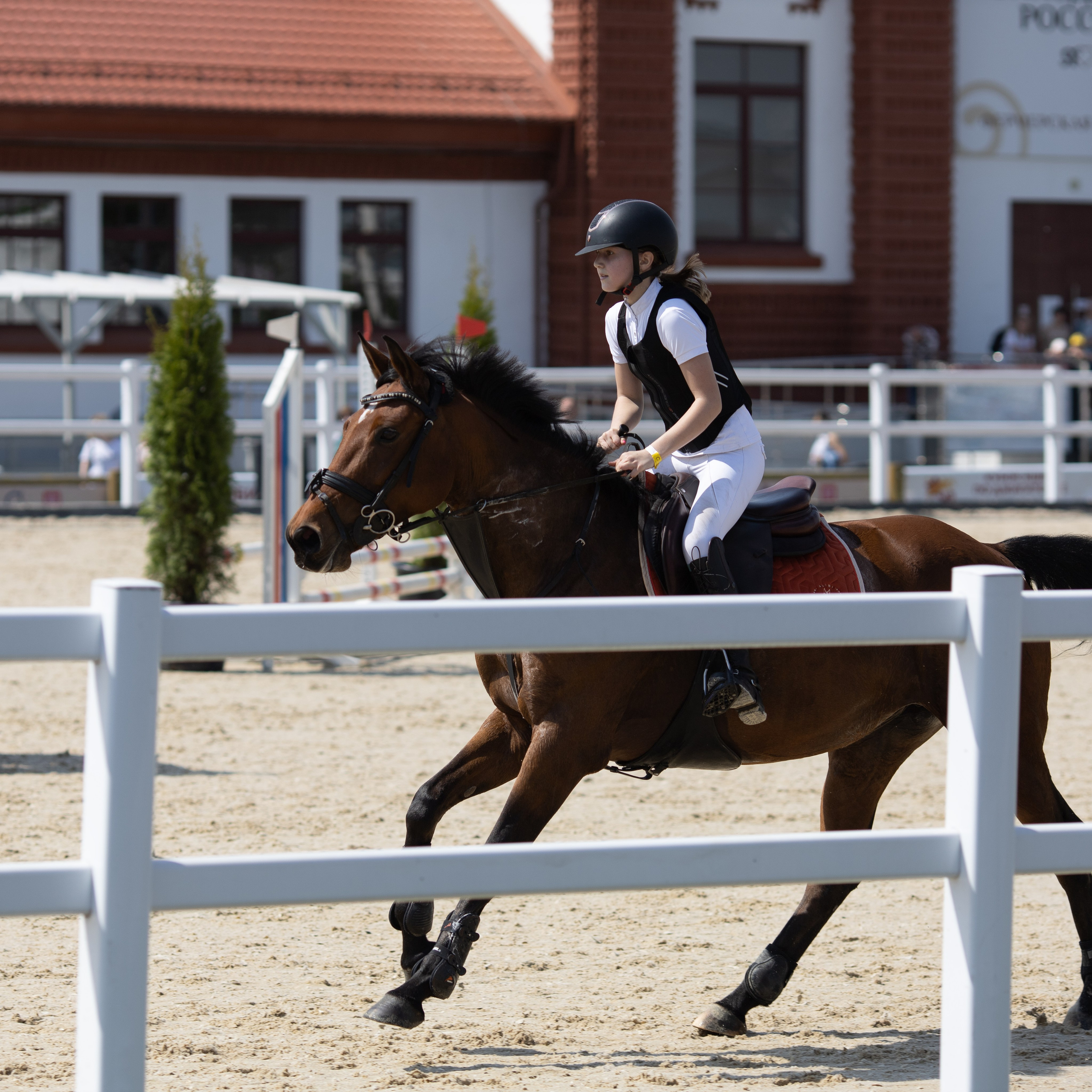 Фестиваль конного спорта. Москва. ВДНХ.  Конный павильон. Большой выводной круг