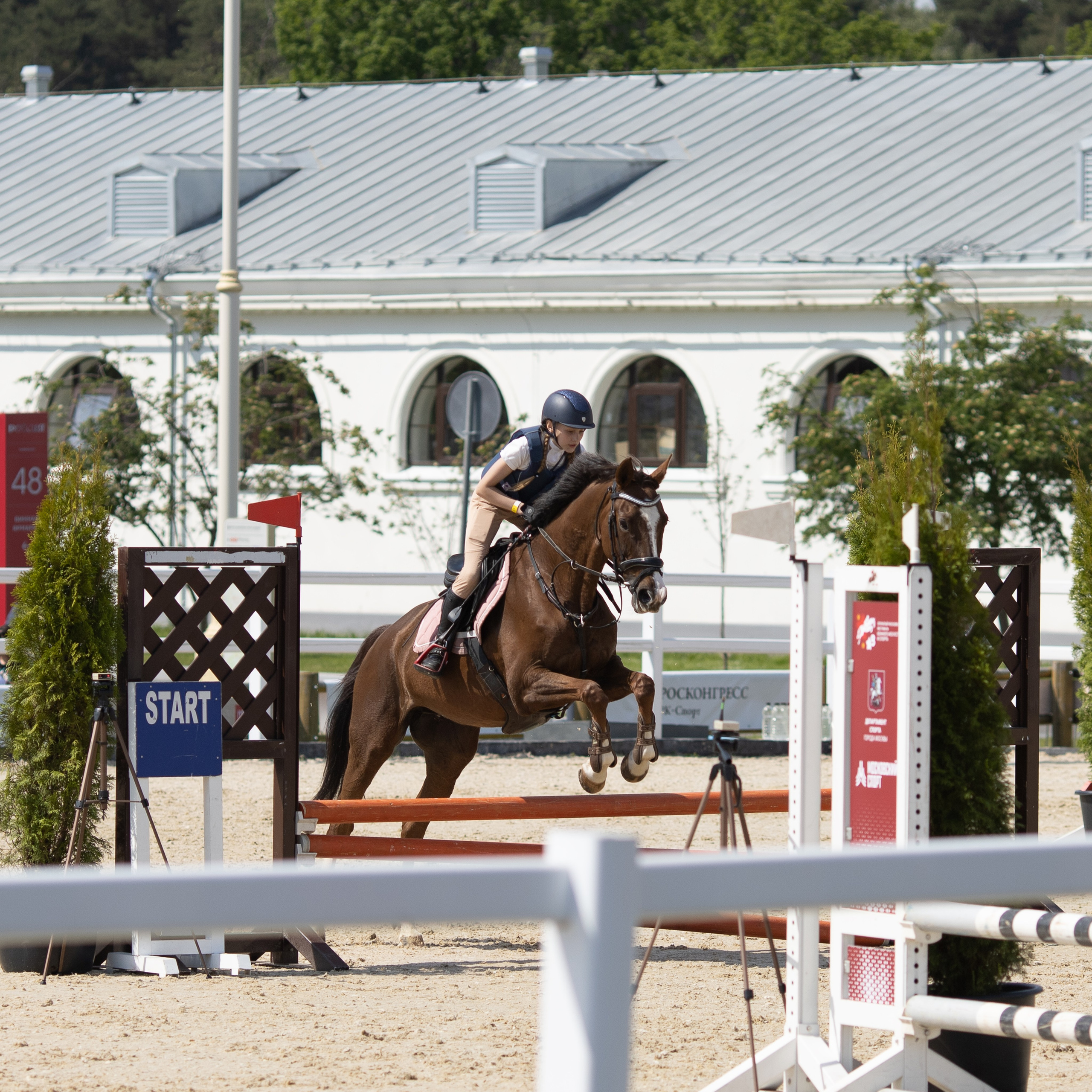 Фестиваль конного спорта. Москва. ВДНХ.  Конный павильон. Большой выводной круг