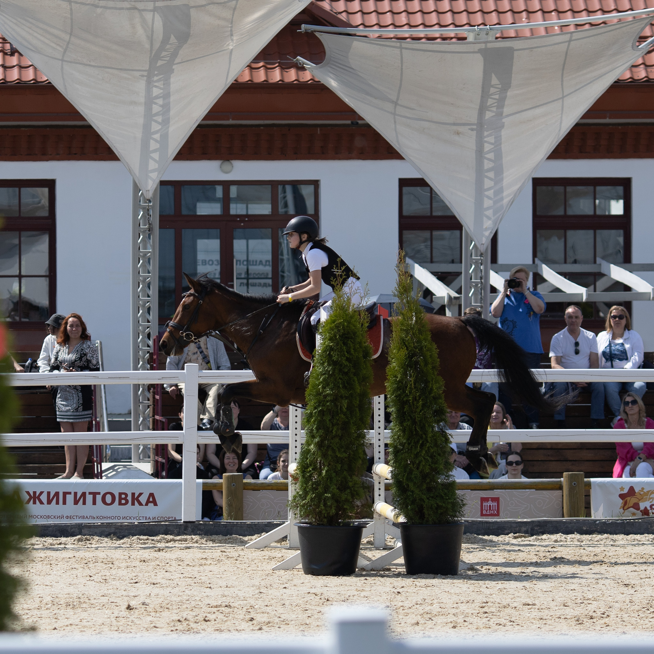 Фестиваль конного спорта. Москва. ВДНХ.  Конный павильон. Большой выводной круг