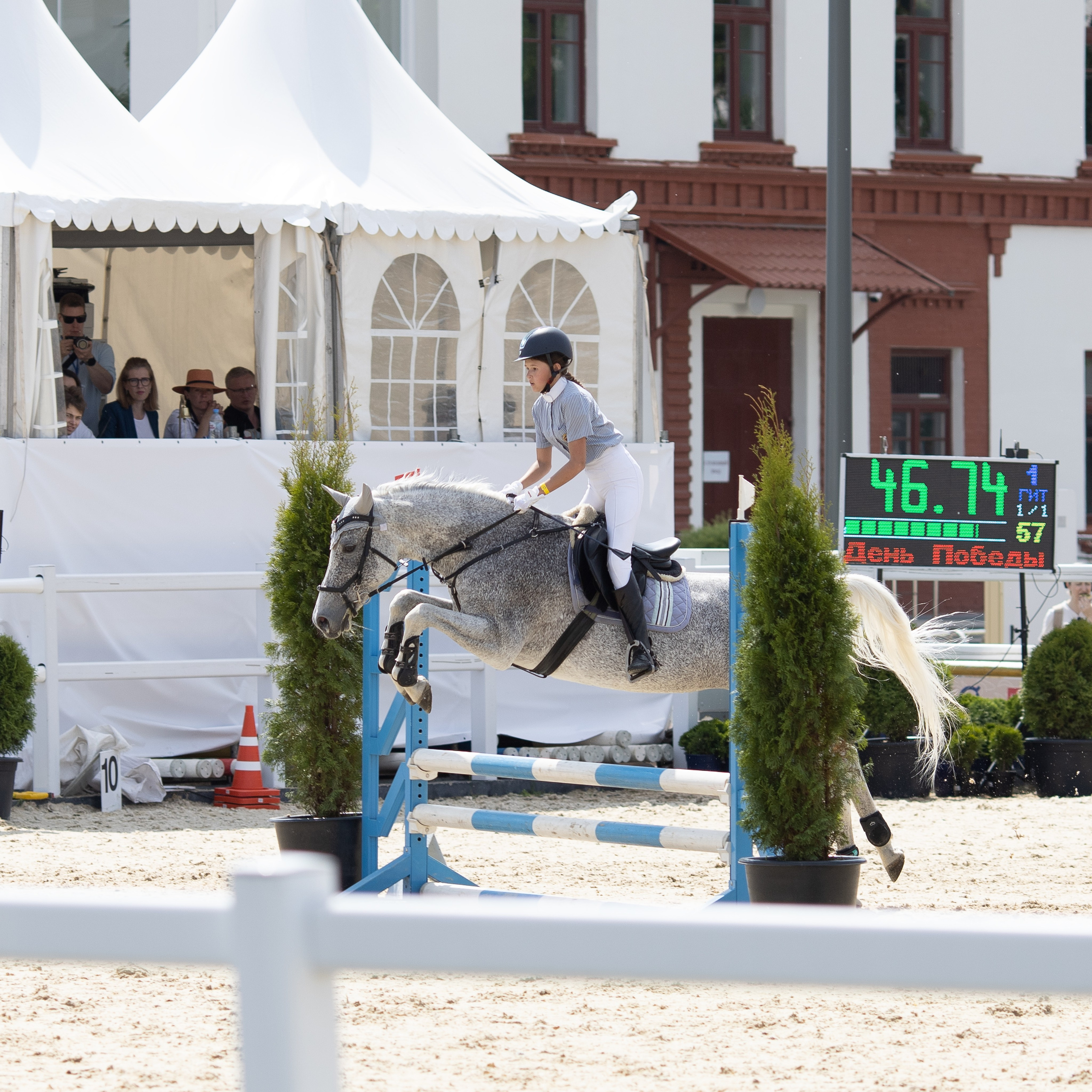 Фестиваль конного спорта. Москва. ВДНХ.  Конный павильон. Большой выводной круг