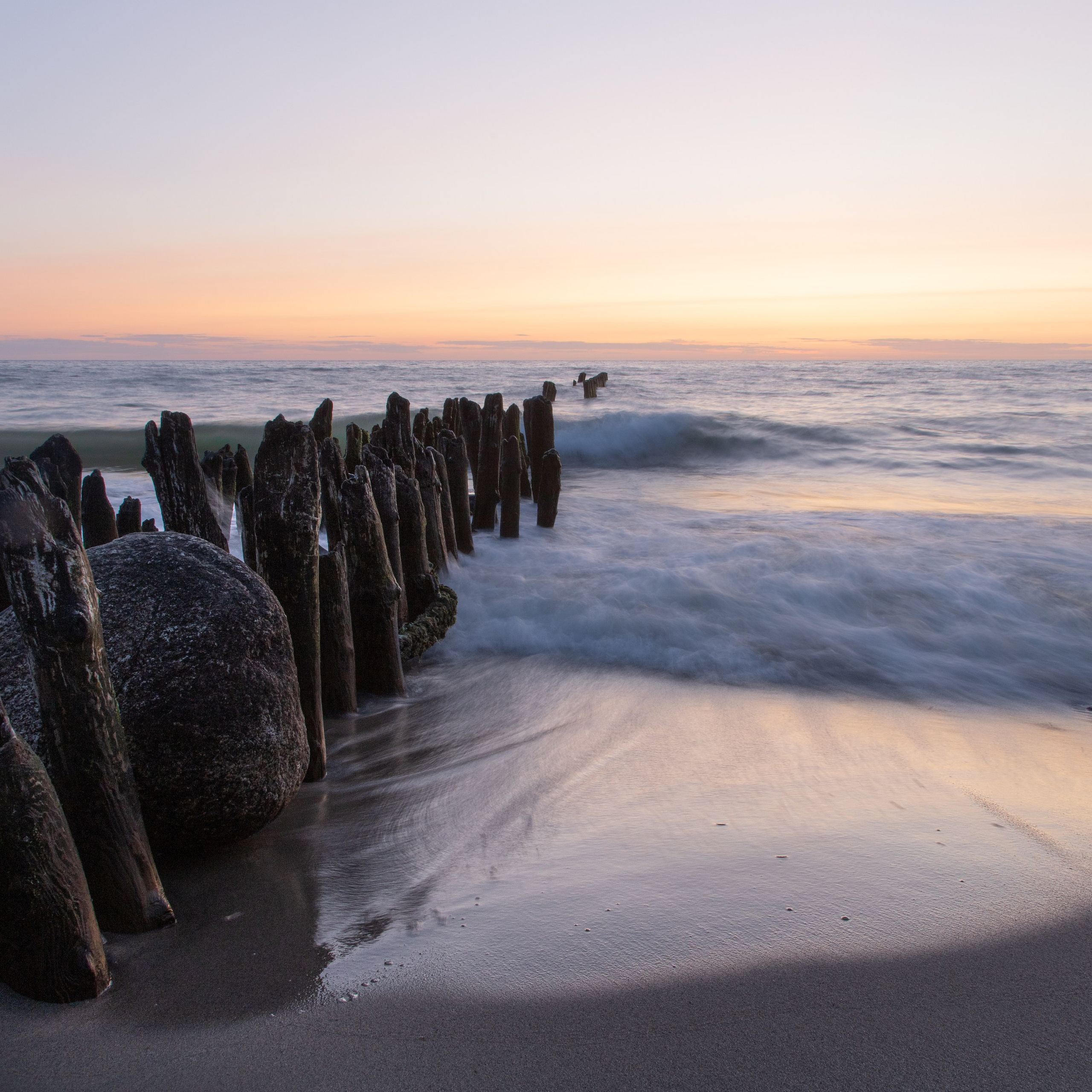 Крук вокруг - фотографии природы и животных. Фотограф в Москве Катарина Крук