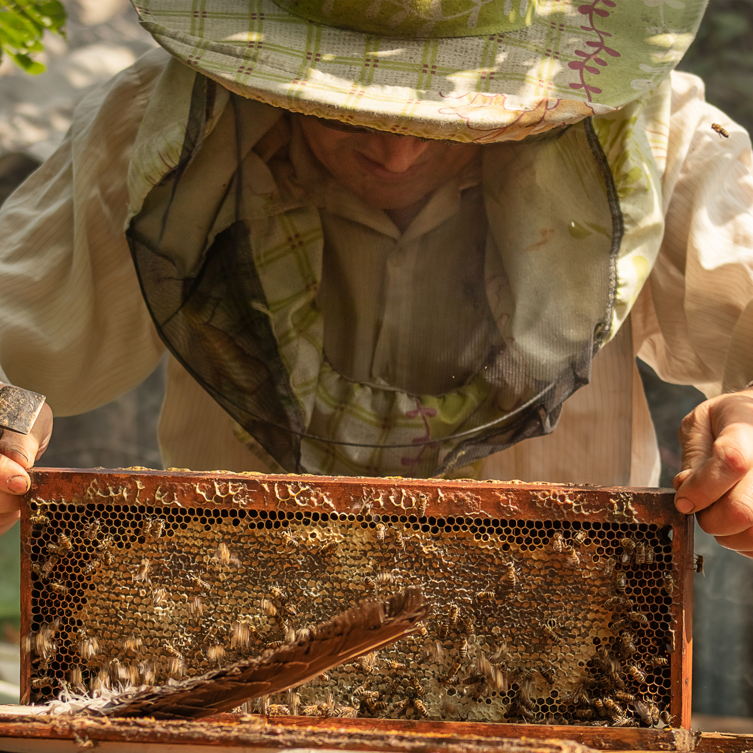 Пчеловод на пасеке