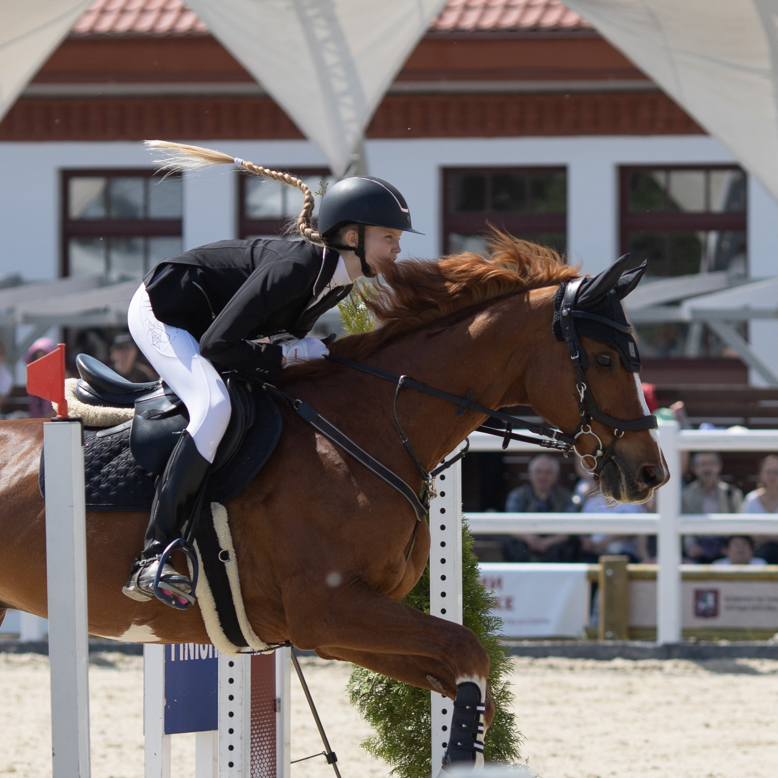 Фестиваль конного спорта. Москва. ВДНХ. 2024