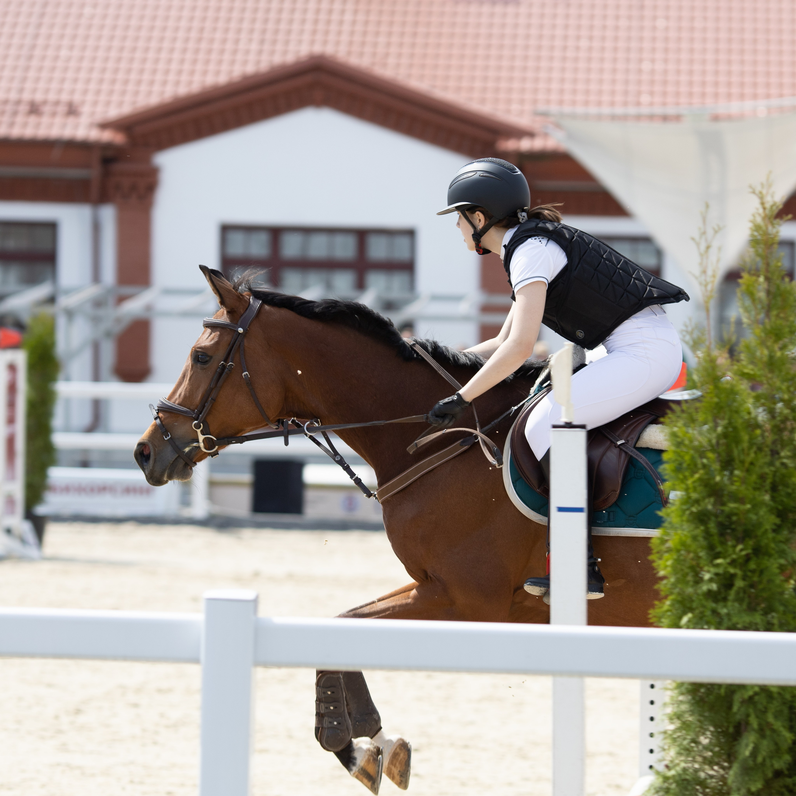 Фестиваль конного спорта. Москва. ВДНХ.  Конный павильон. Большой выводной круг