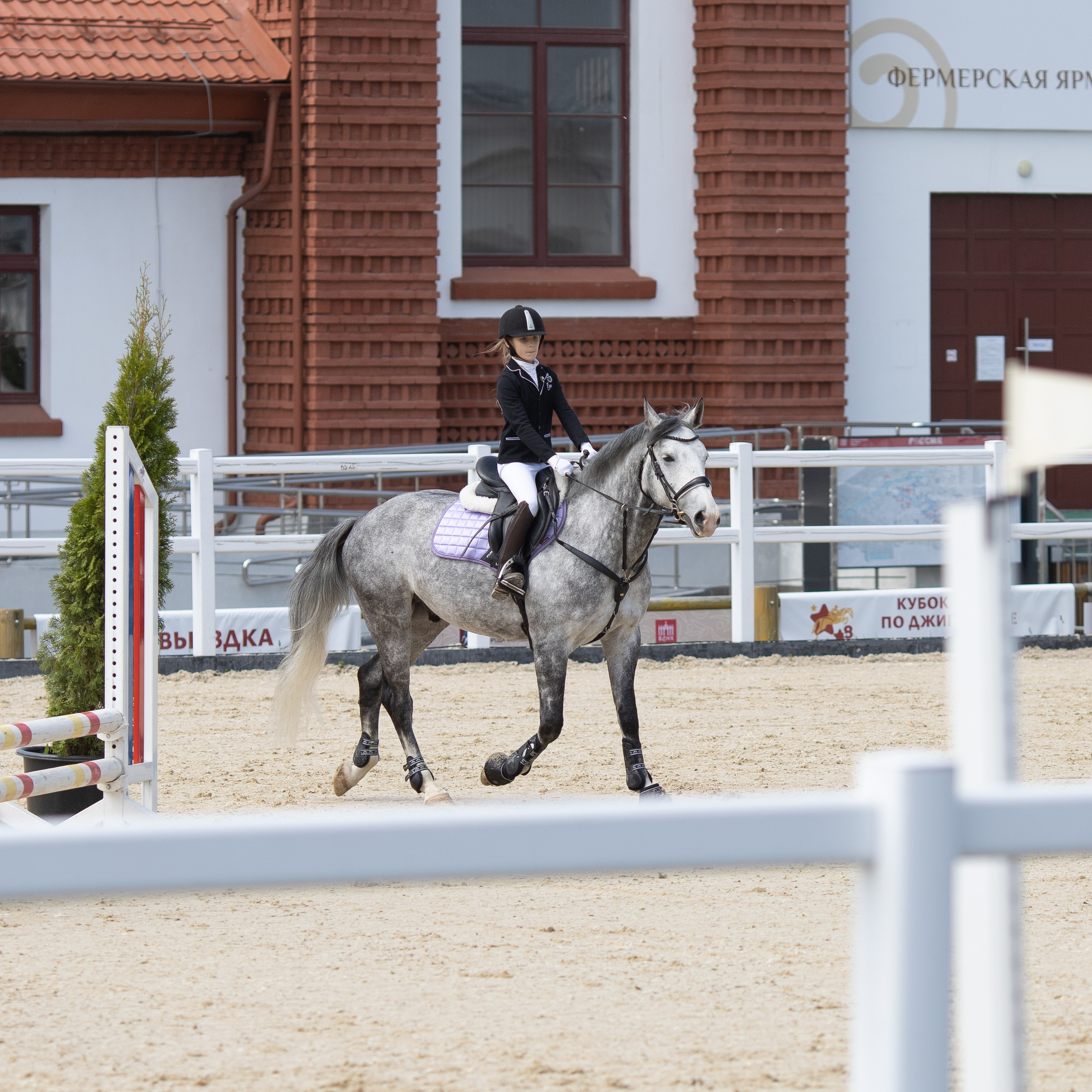 Фестиваль конного спорта. Москва. ВДНХ.  Конный павильон. Большой выводной круг