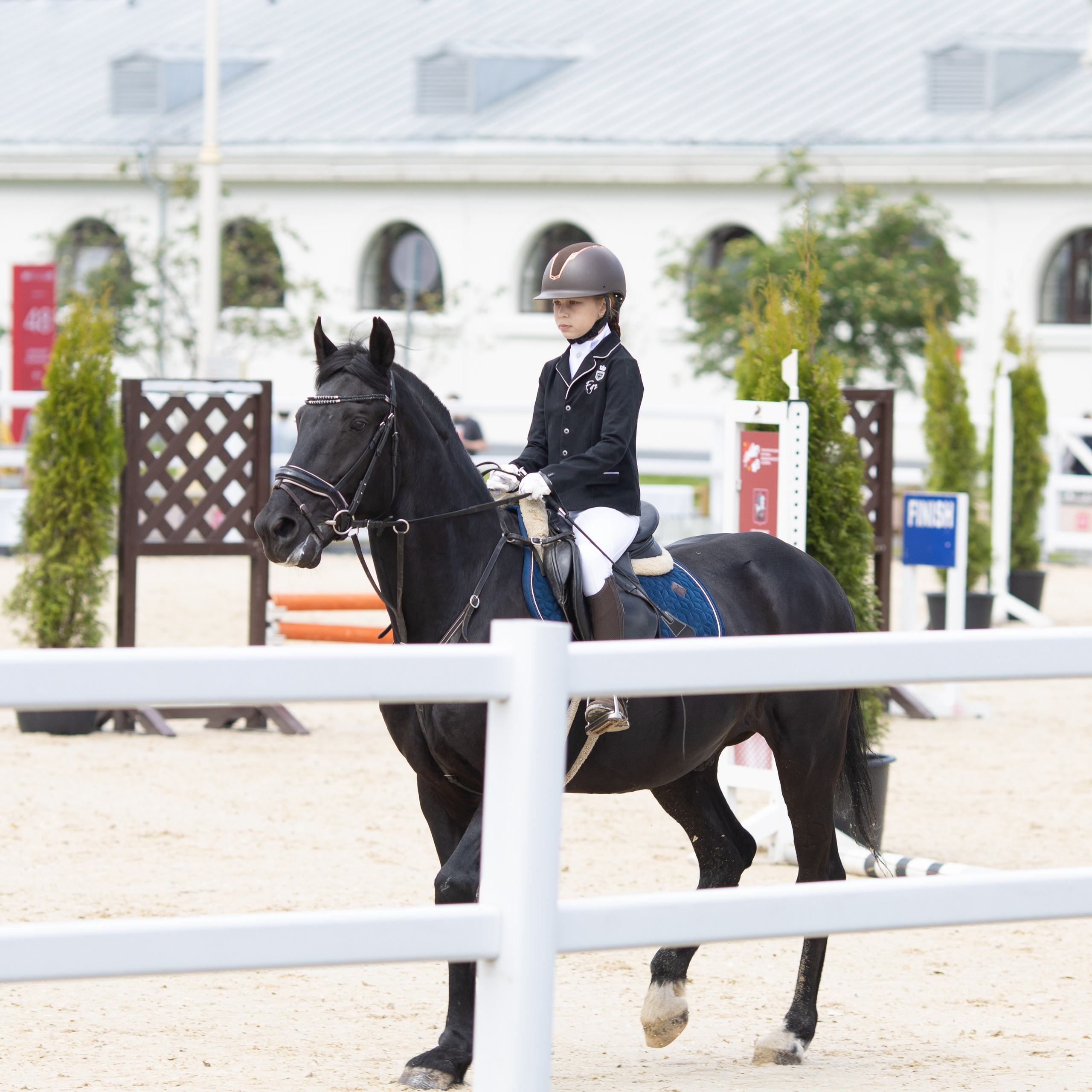 Фестиваль конного спорта. Москва. ВДНХ.  Конный павильон. Большой выводной круг