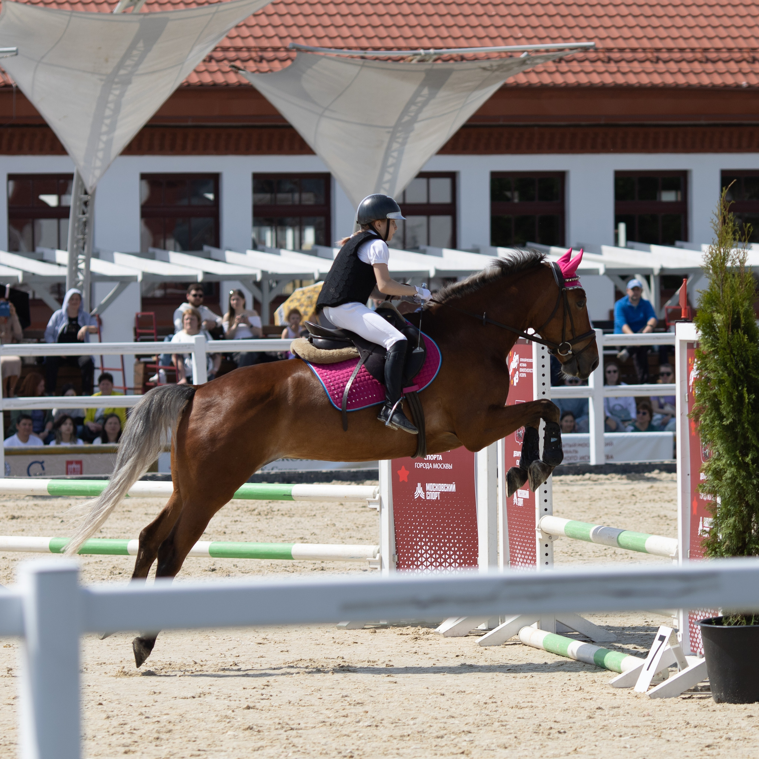 Фестиваль конного спорта. Москва. ВДНХ.  Конный павильон. Большой выводной круг