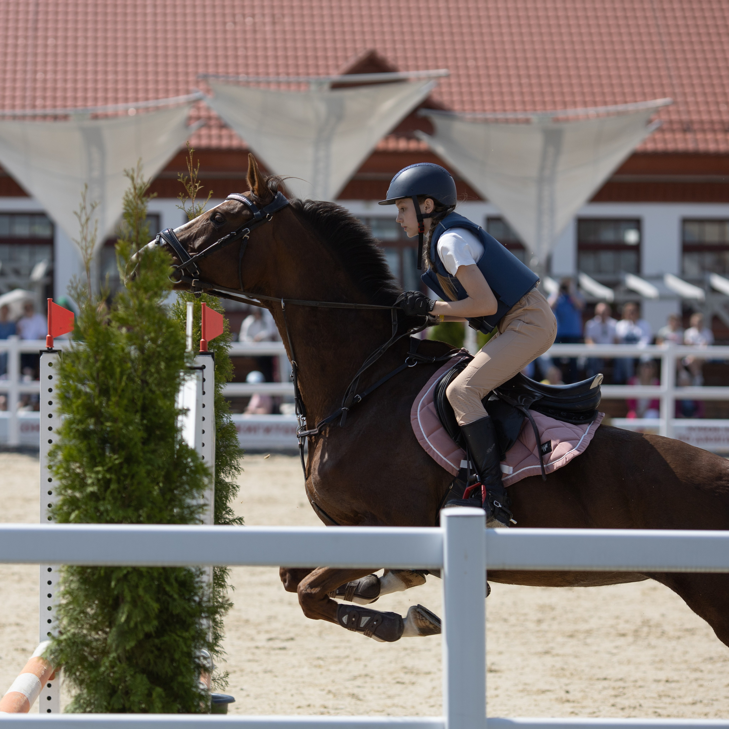 Фестиваль конного спорта. Москва. ВДНХ.  Конный павильон. Большой выводной круг