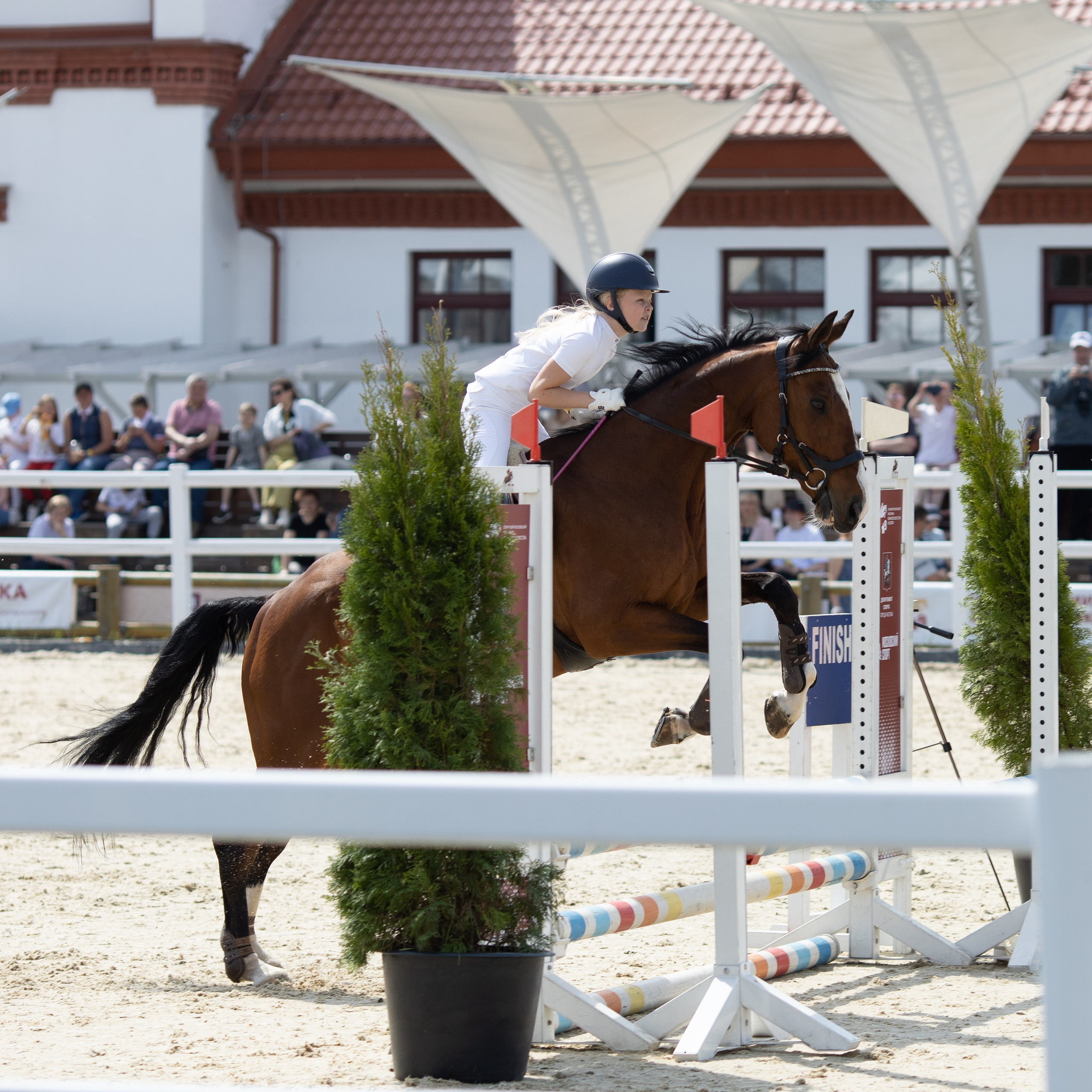 Фестиваль конного спорта. Москва. ВДНХ.  Конный павильон. Большой выводной круг