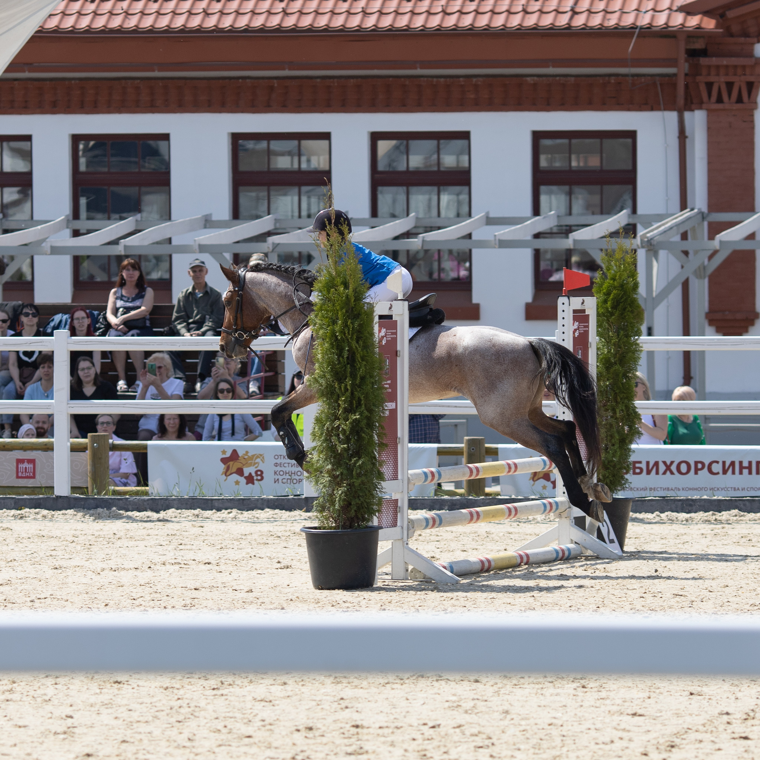 Фестиваль конного спорта. Москва. ВДНХ.  Конный павильон. Большой выводной круг