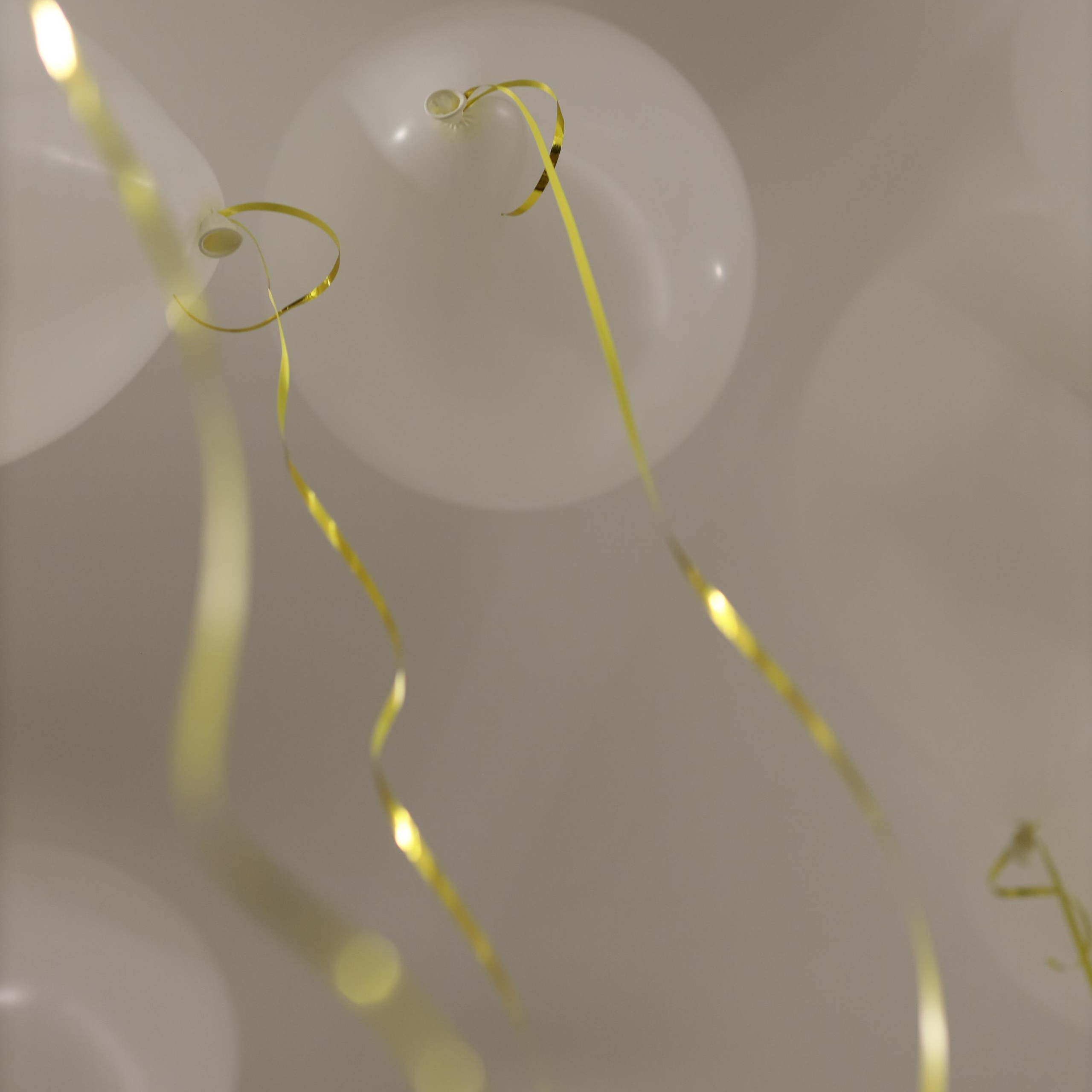 Открытие шоу-рума Radkevichi. Фотограф в Москве Катарина Крук