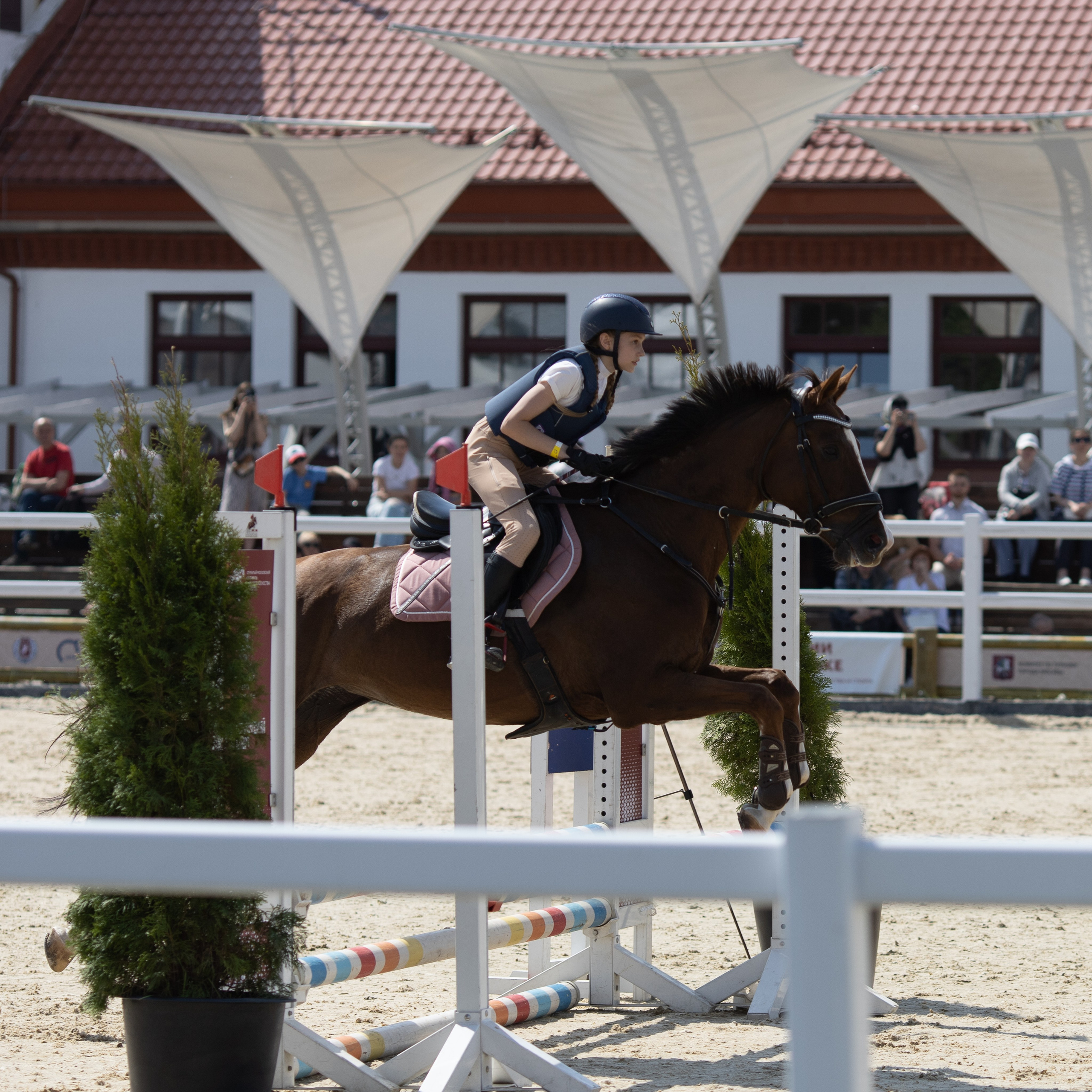 Фестиваль конного спорта. Москва. ВДНХ.  Конный павильон. Большой выводной круг