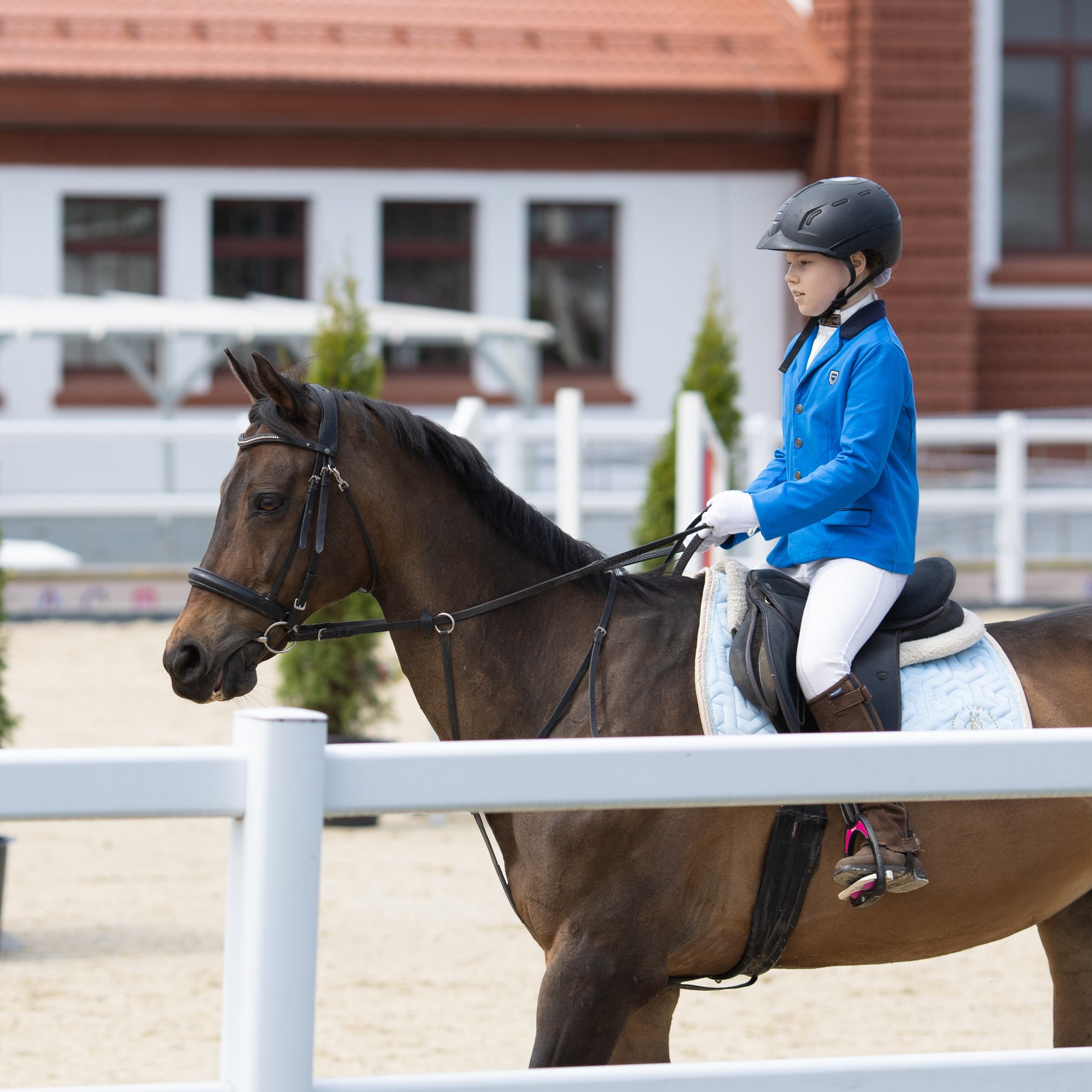 Фестиваль конного спорта. Москва. ВДНХ.  Конный павильон. Большой выводной круг