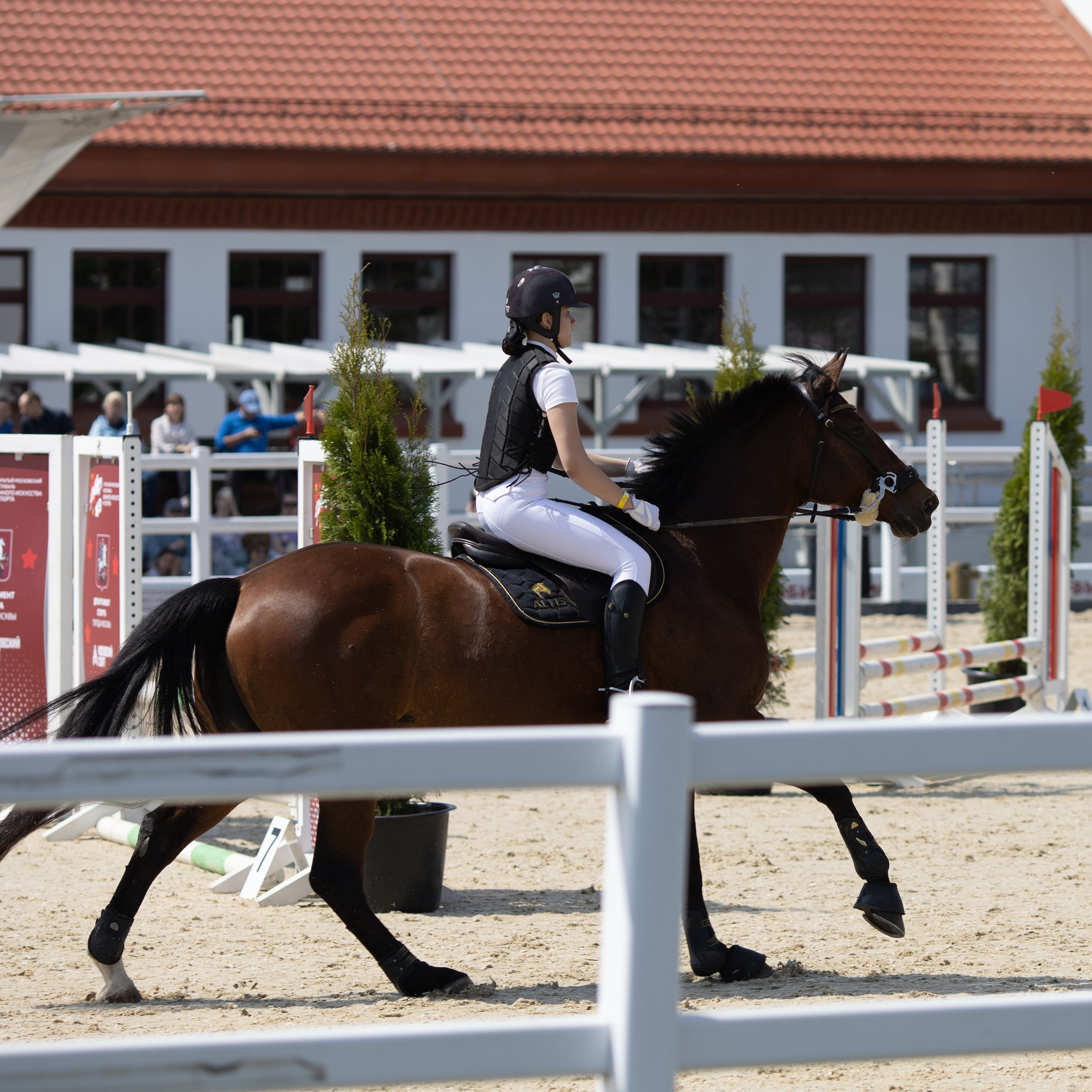 Фестиваль конного спорта. Москва. ВДНХ.  Конный павильон. Большой выводной круг