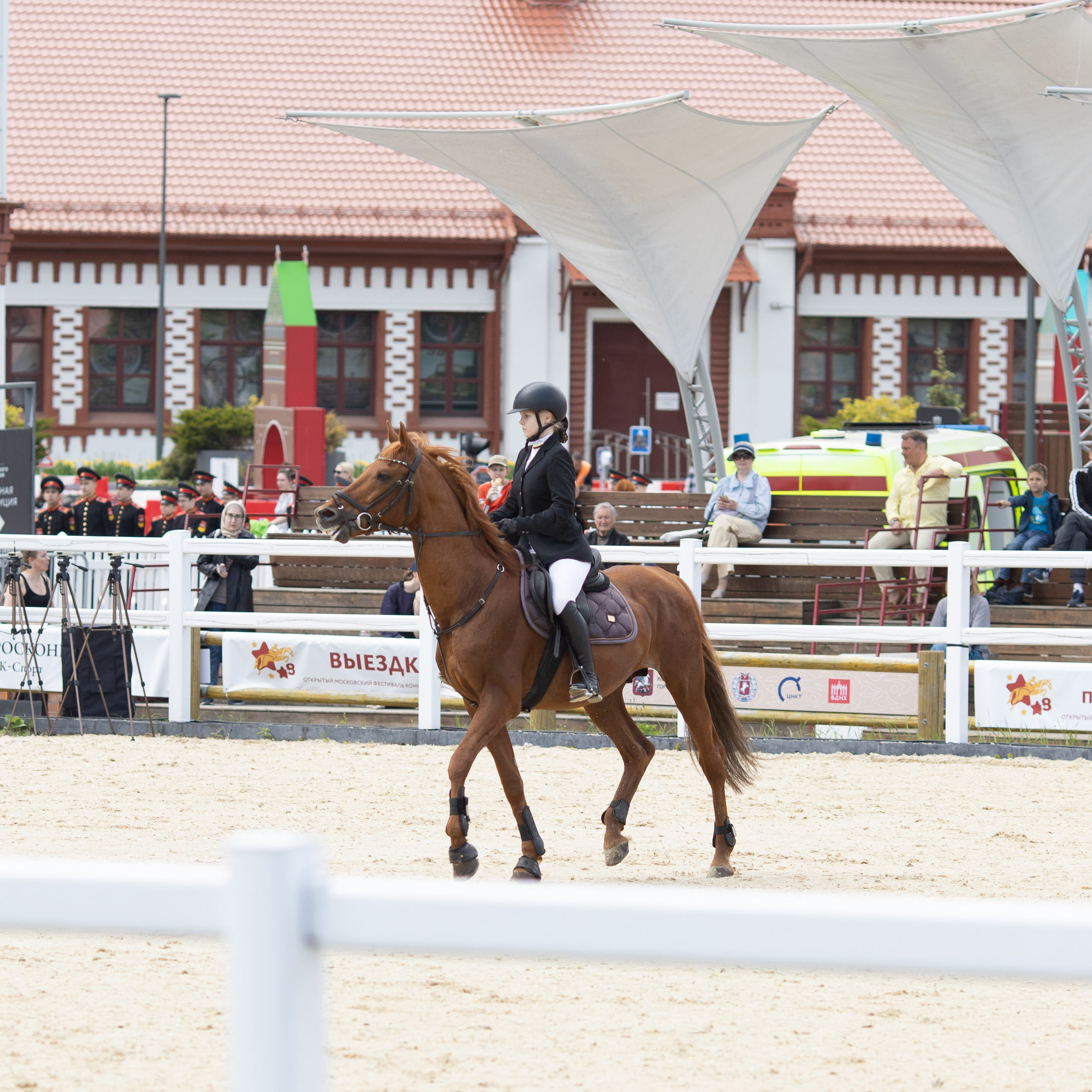 Фестиваль конного спорта. Москва. ВДНХ.  Конный павильон. Большой выводной круг