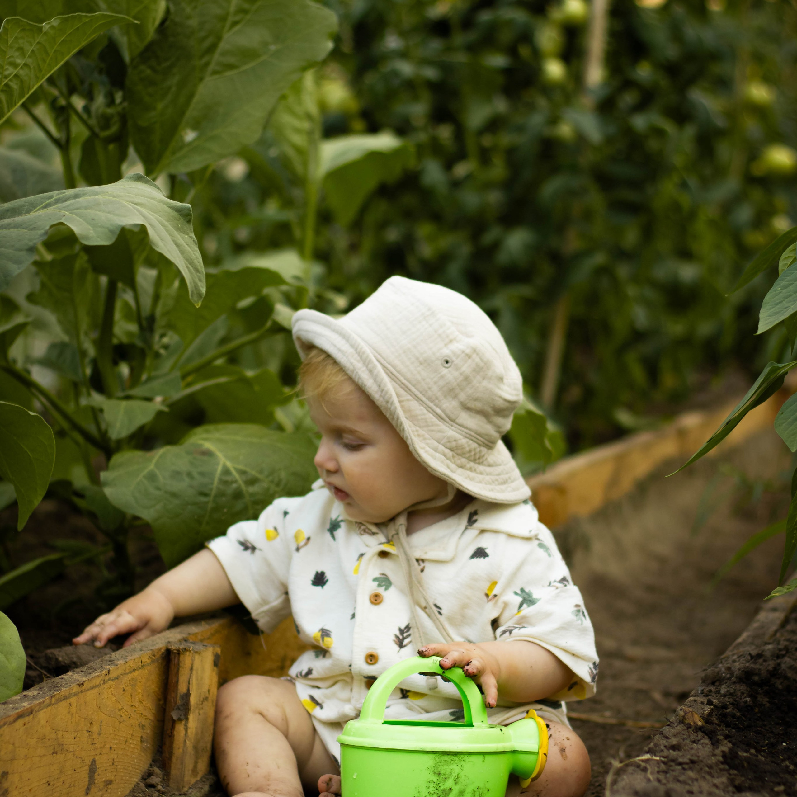 Дачная история